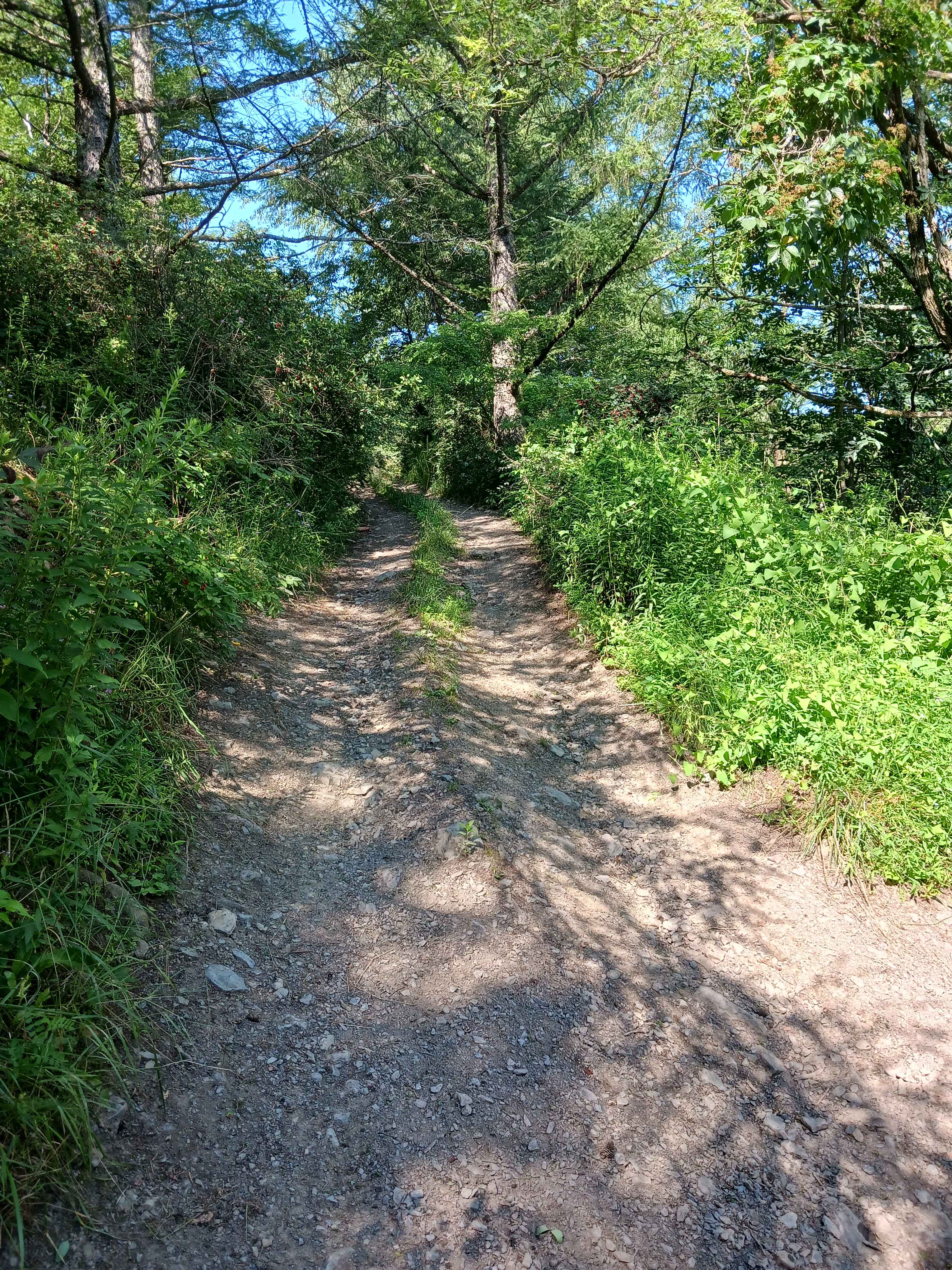 Trail 13D - Rock Run Recreation Area