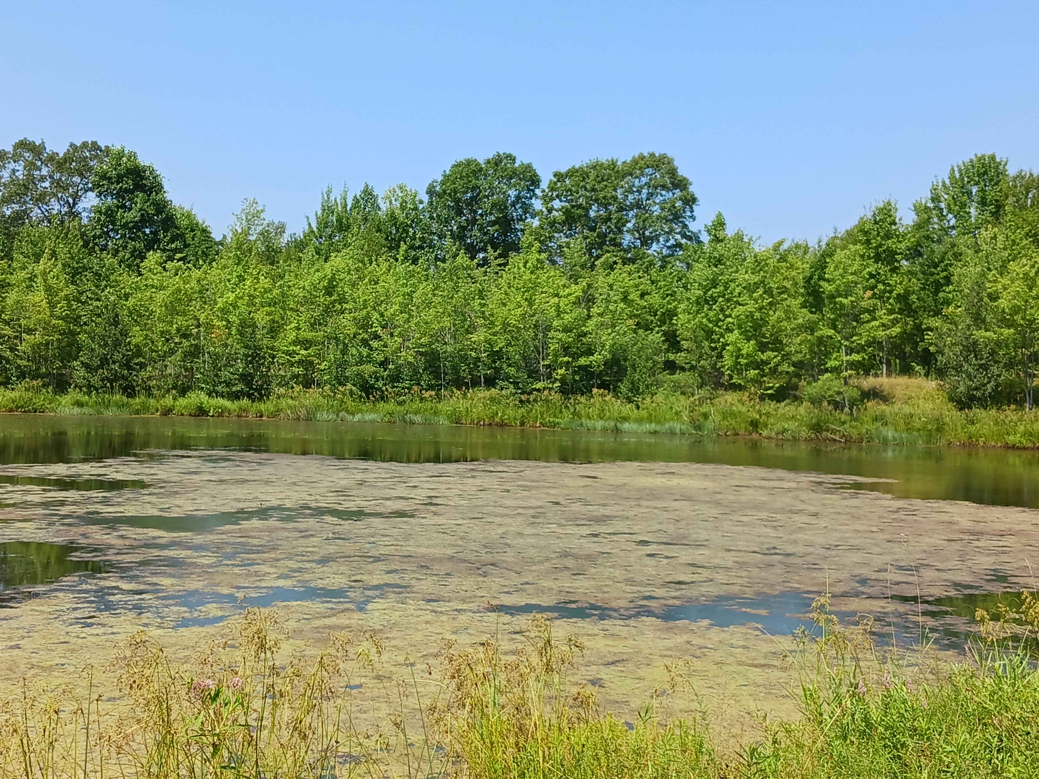 Play Pond Path Green Trail - Rock Run Recreation Area