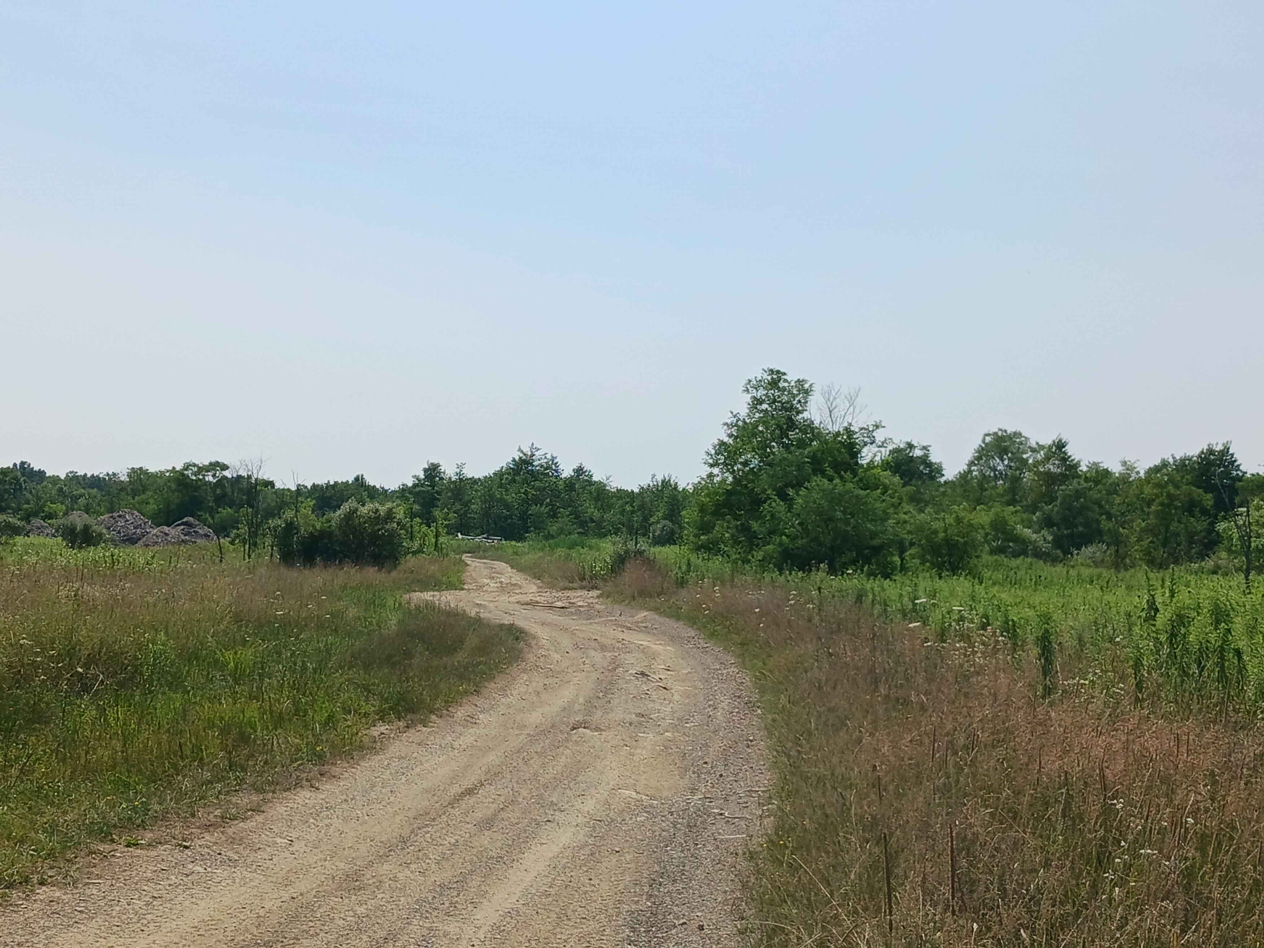 Play Pond Path Green Trail - Rock Run Recreation Area
