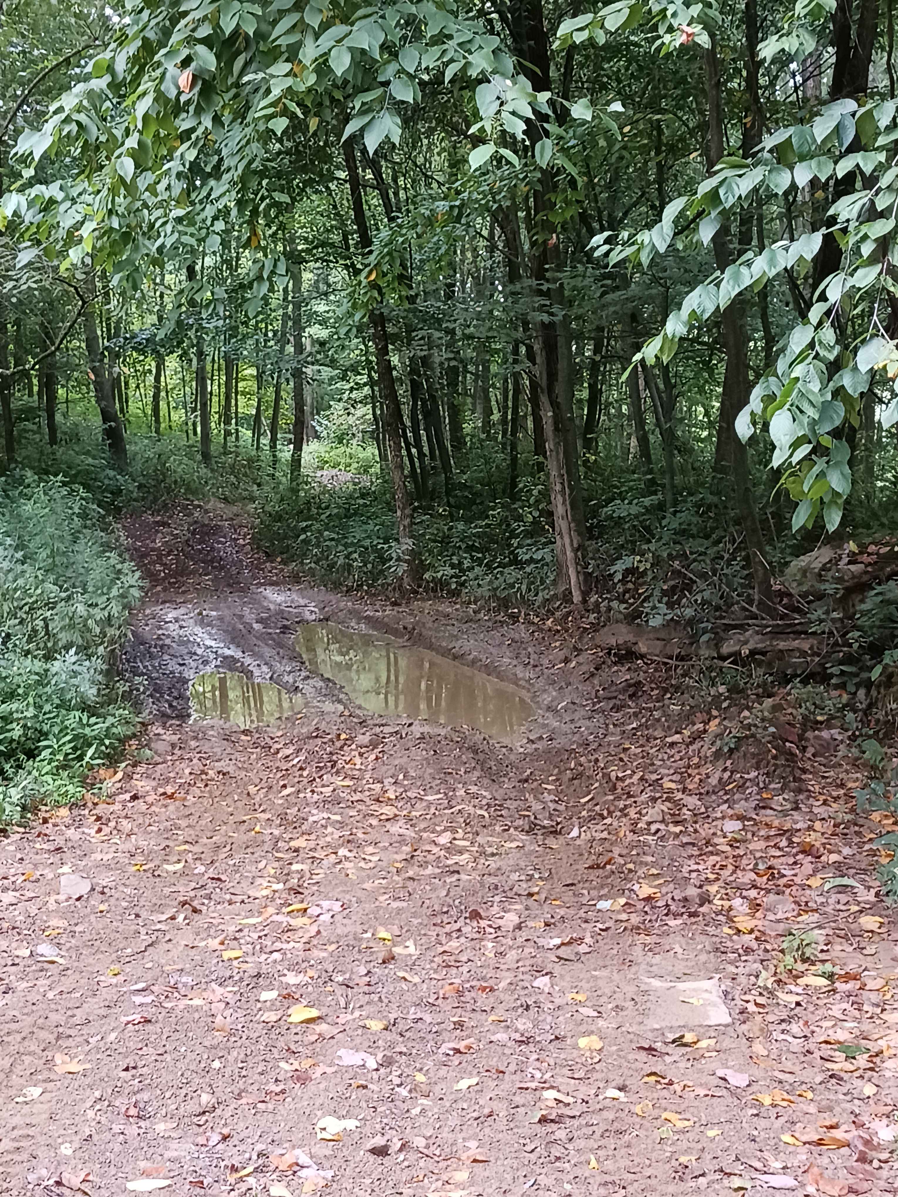 Rock Den Ridge Top Bypass - Rock Run Recreation Area