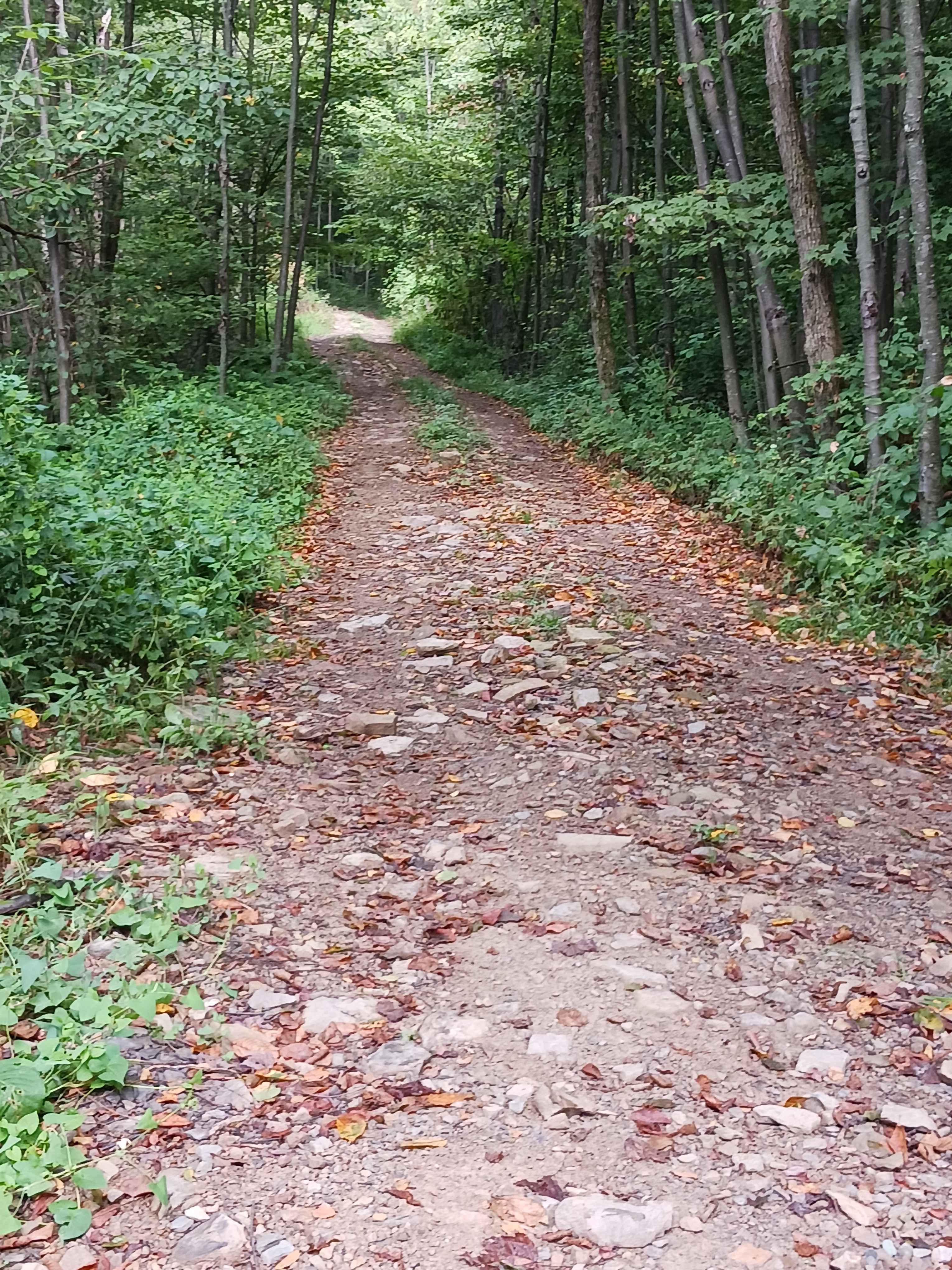 Rock Den Ridge Top Bypass - Rock Run Recreation Area