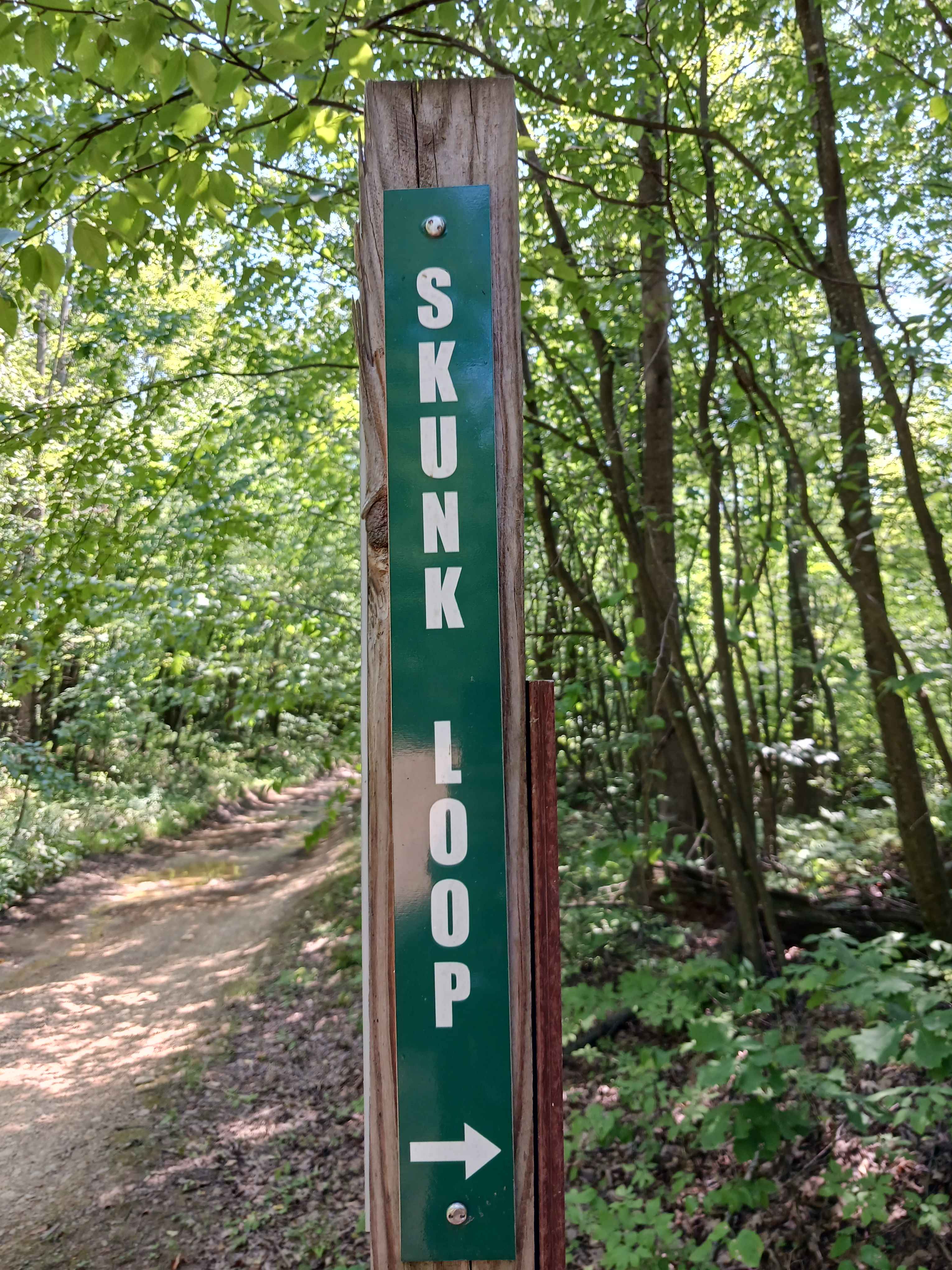 Skunk Loop - Rock Run Recreation Area
