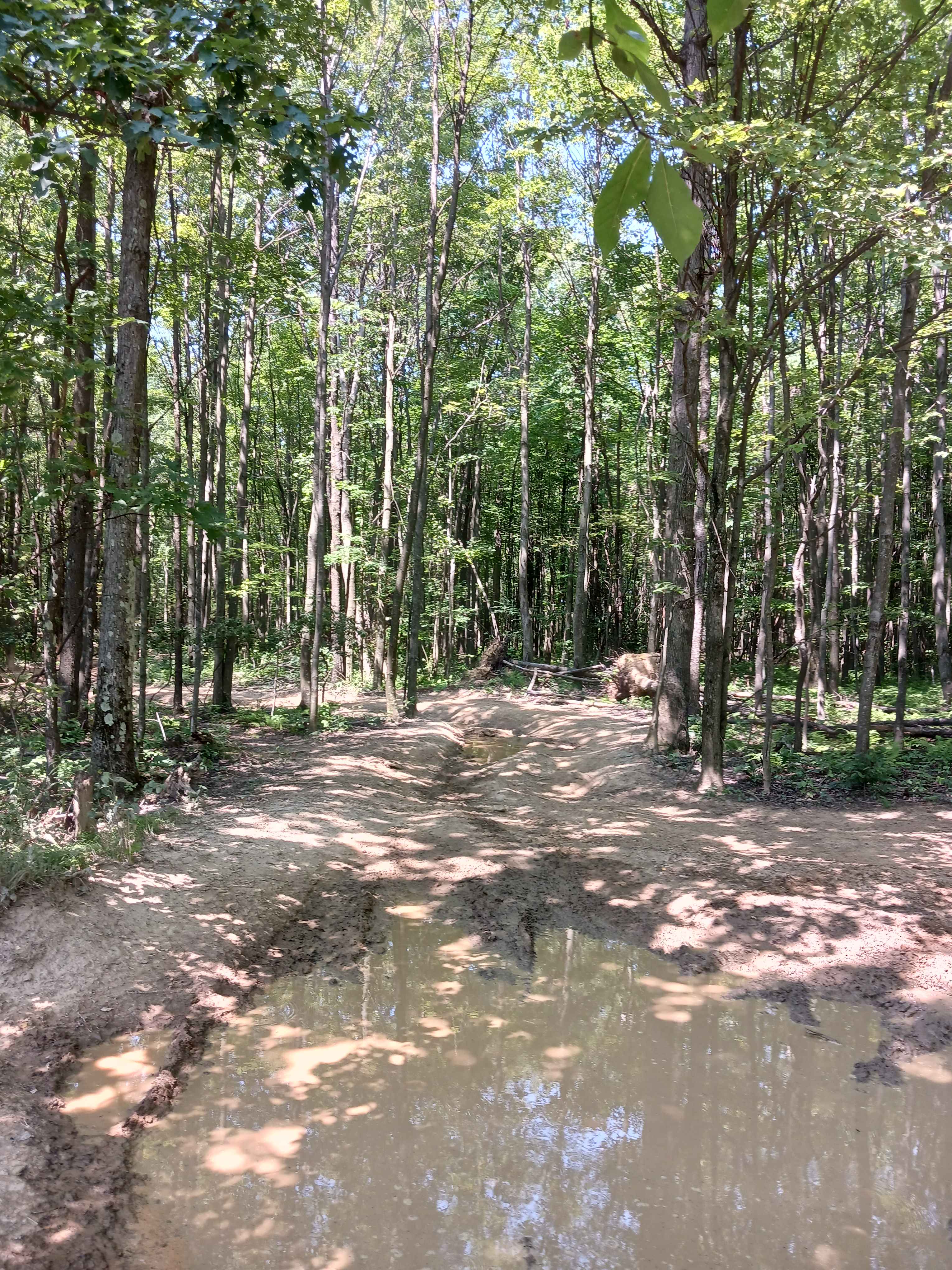 Skunk Loop - Rock Run Recreation Area