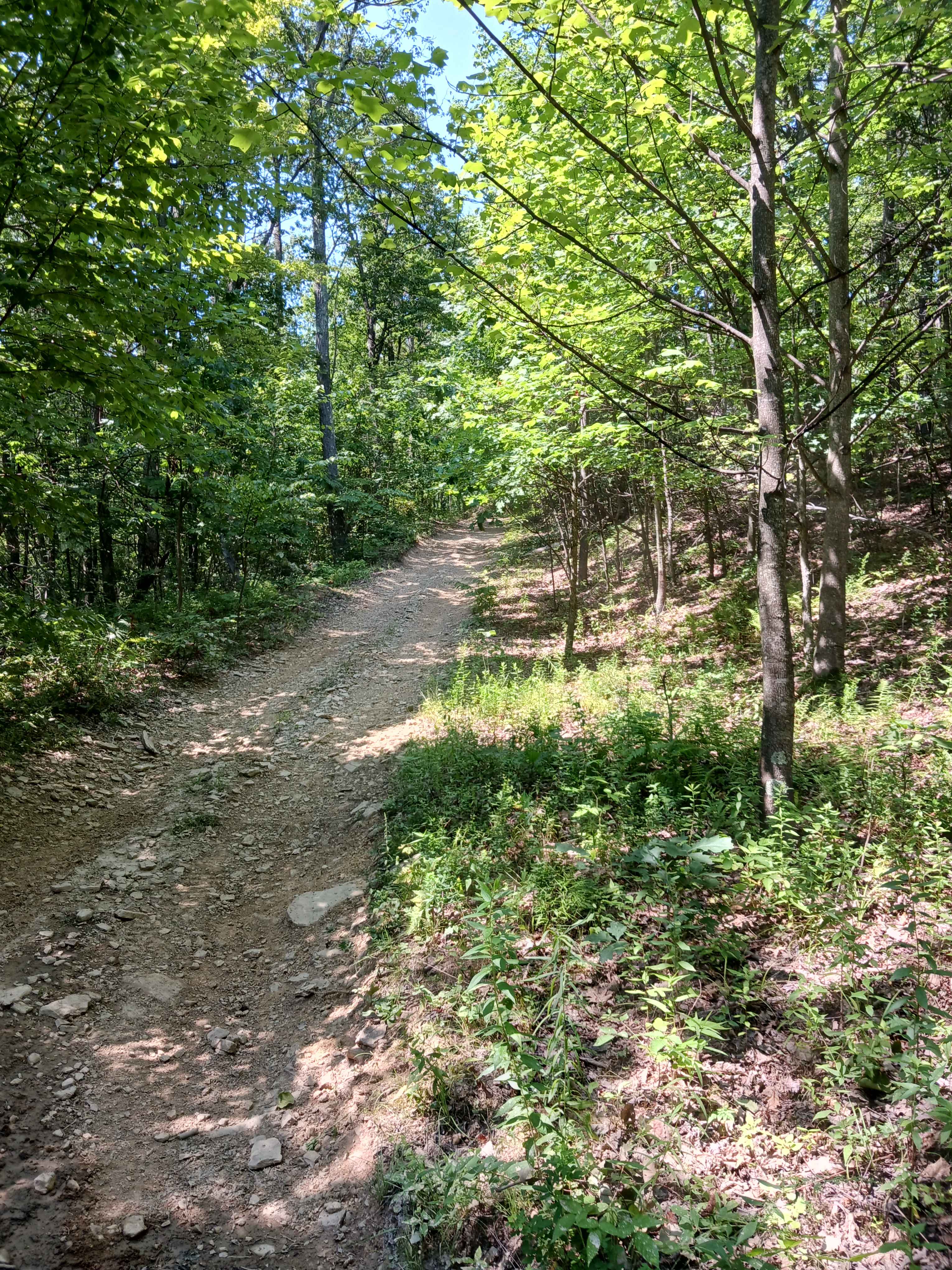 Fern Way - Rock Run Recreation Area