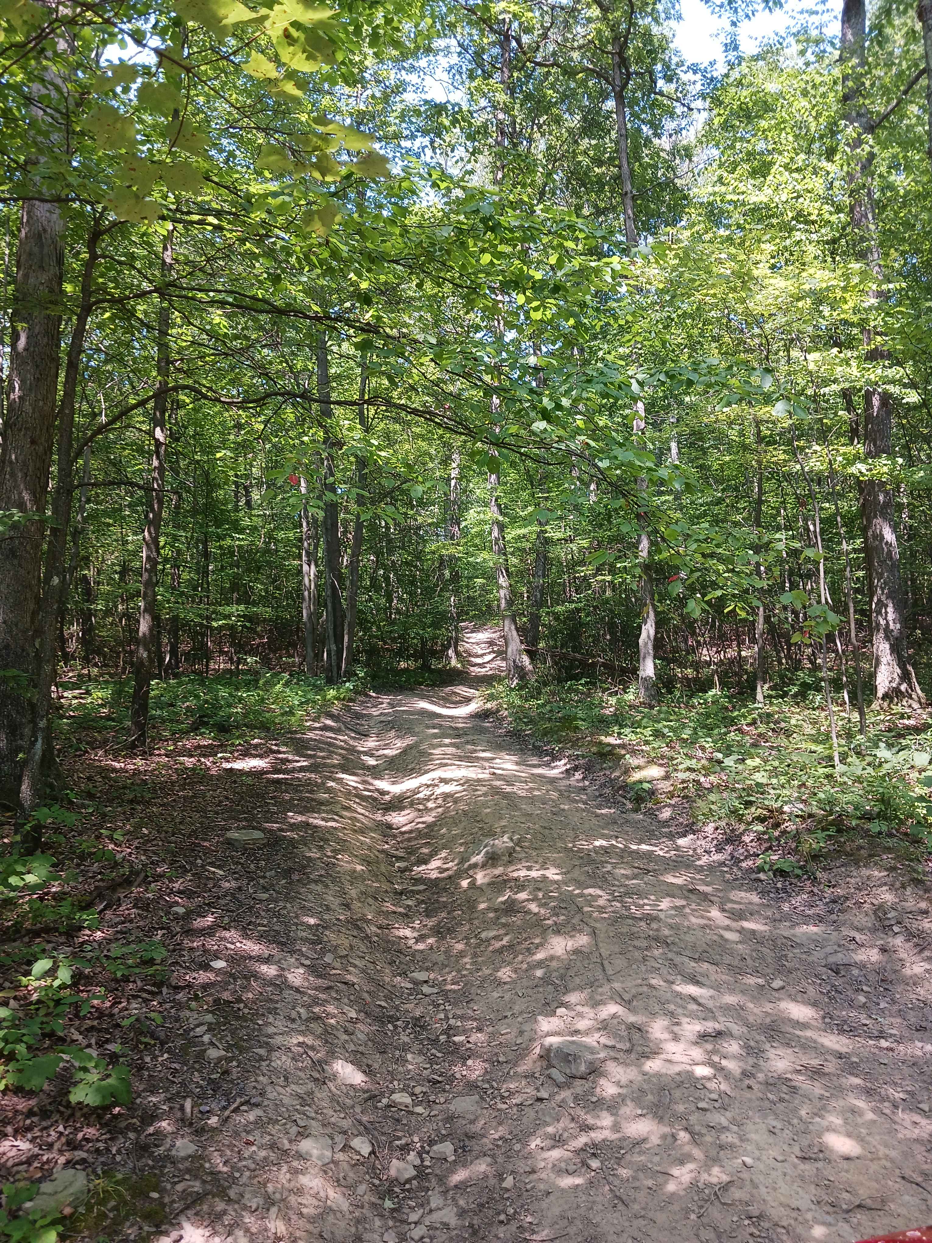 Fern Way - Rock Run Recreation Area