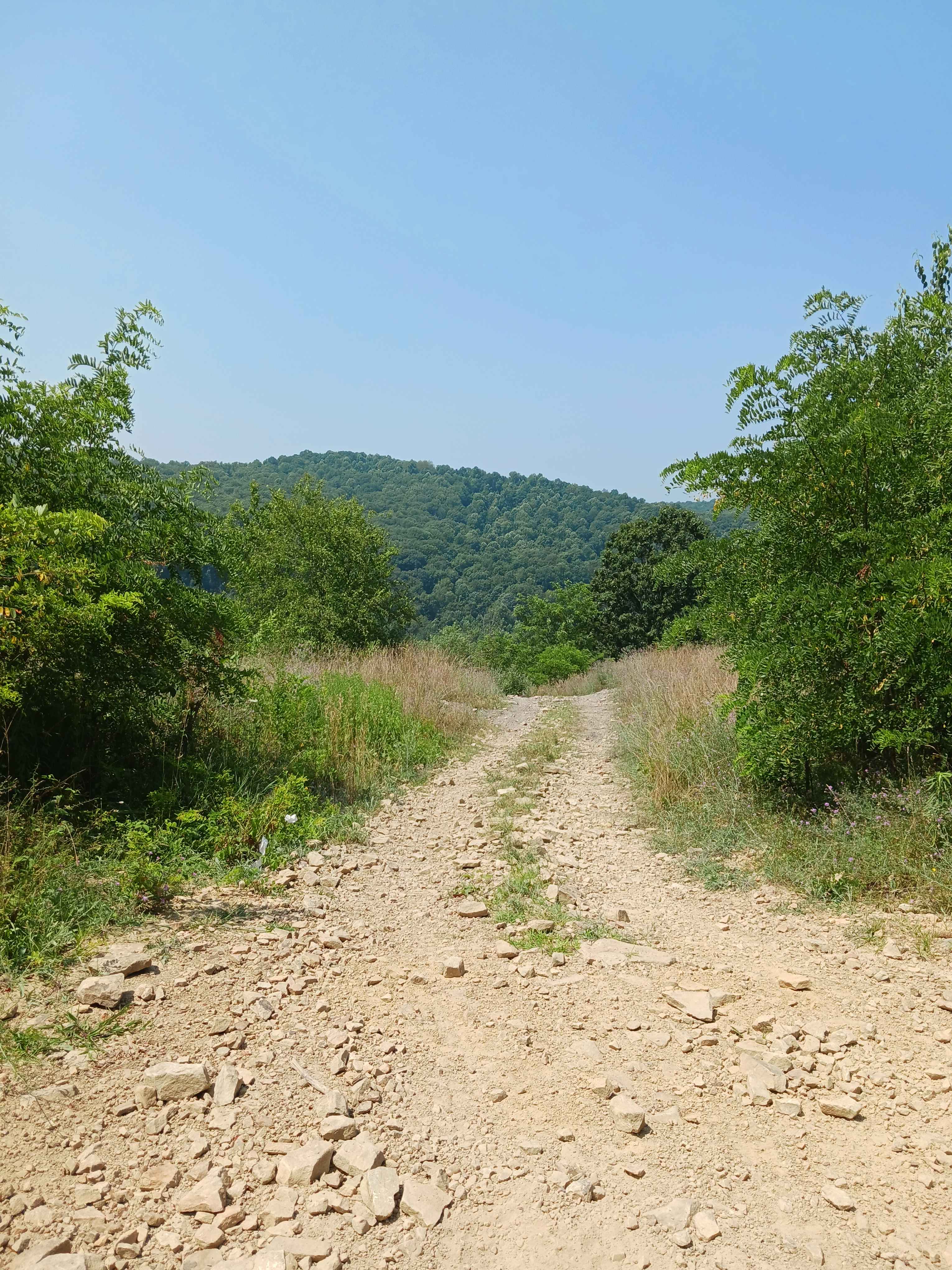 Big Buck Hill - Rock Run Recreation Area