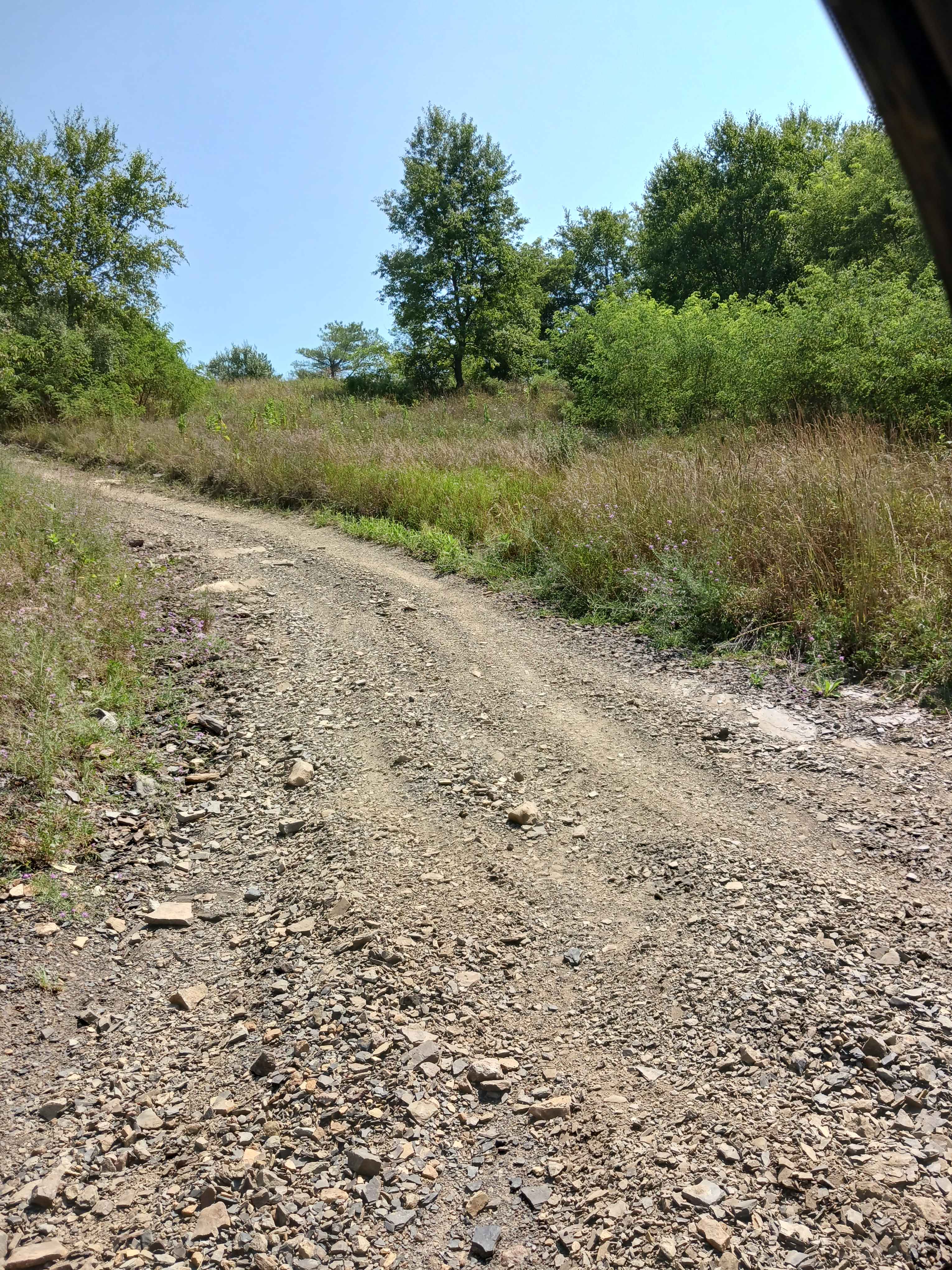 Little Buck Hill - Rock Run Recreation Area