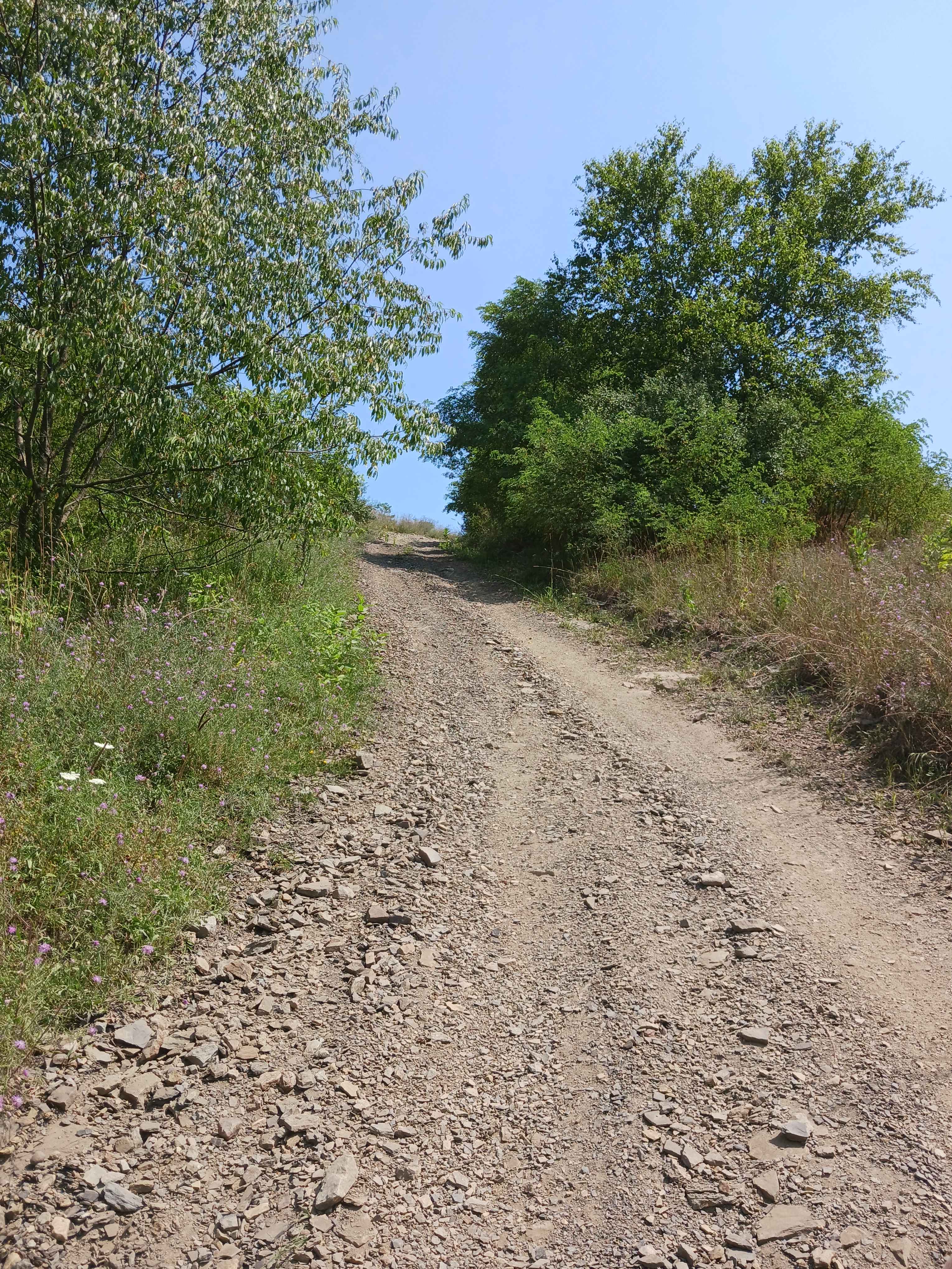 Little Buck Hill - Rock Run Recreation Area