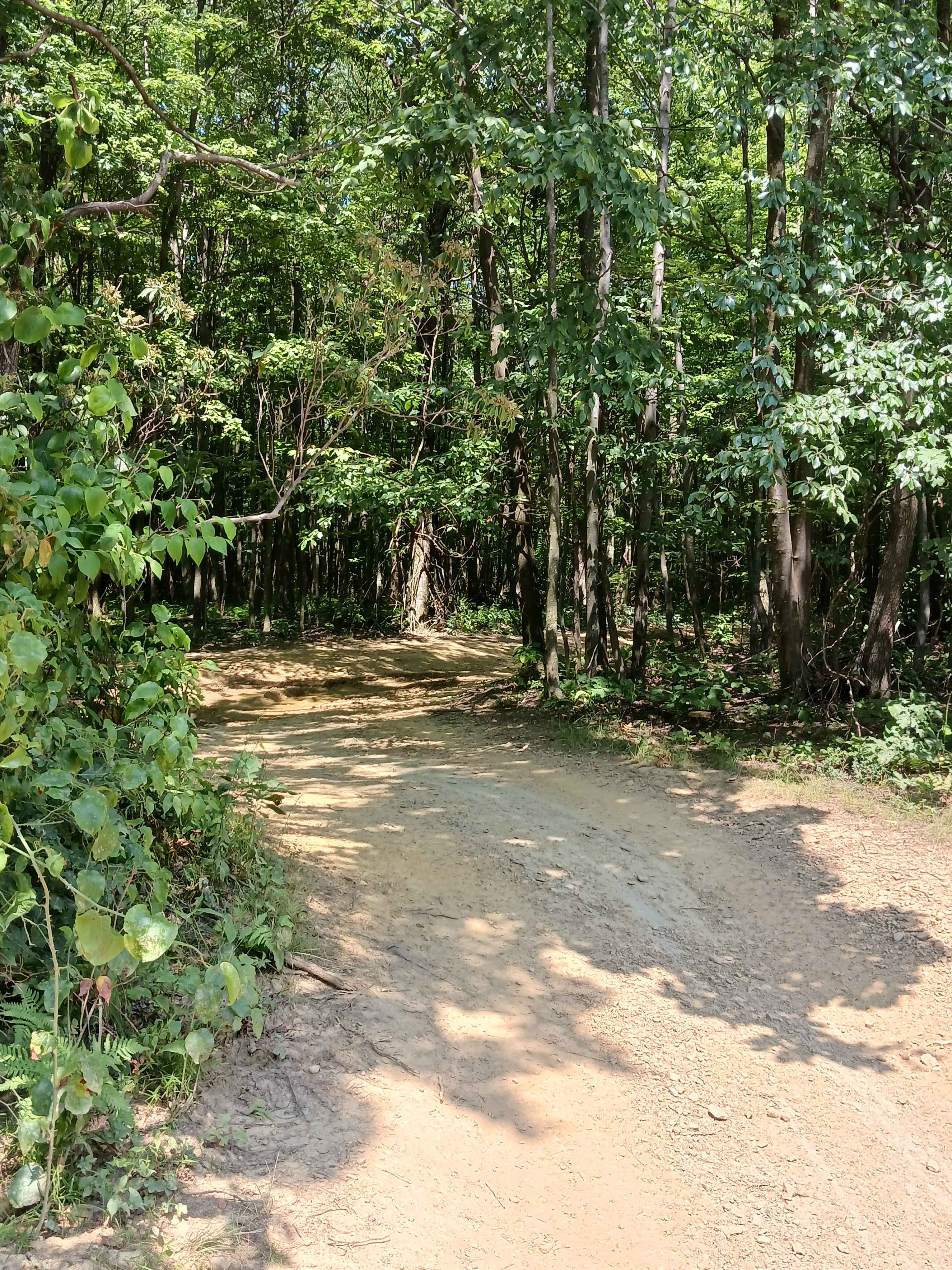 Kit Row - Rock Run Recreation Area