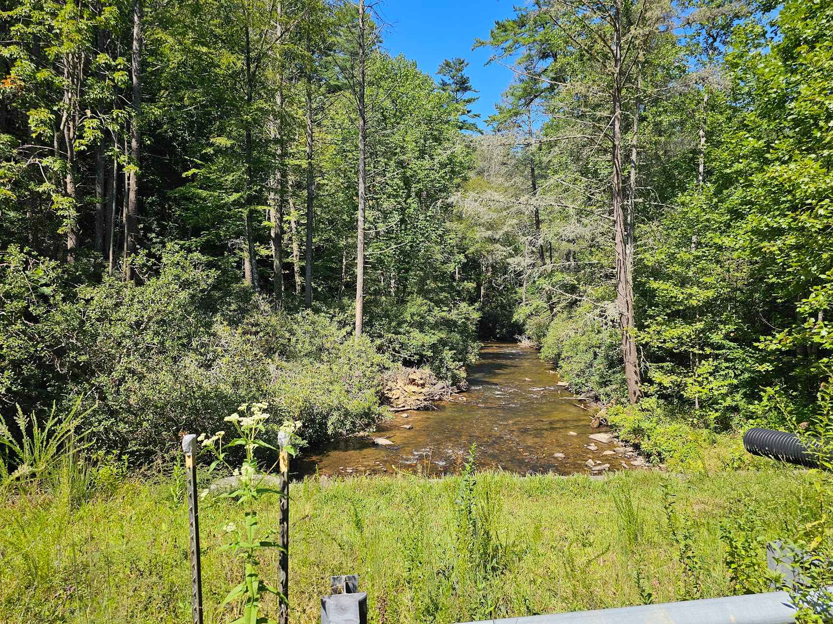 Cavender Gap - FS 236