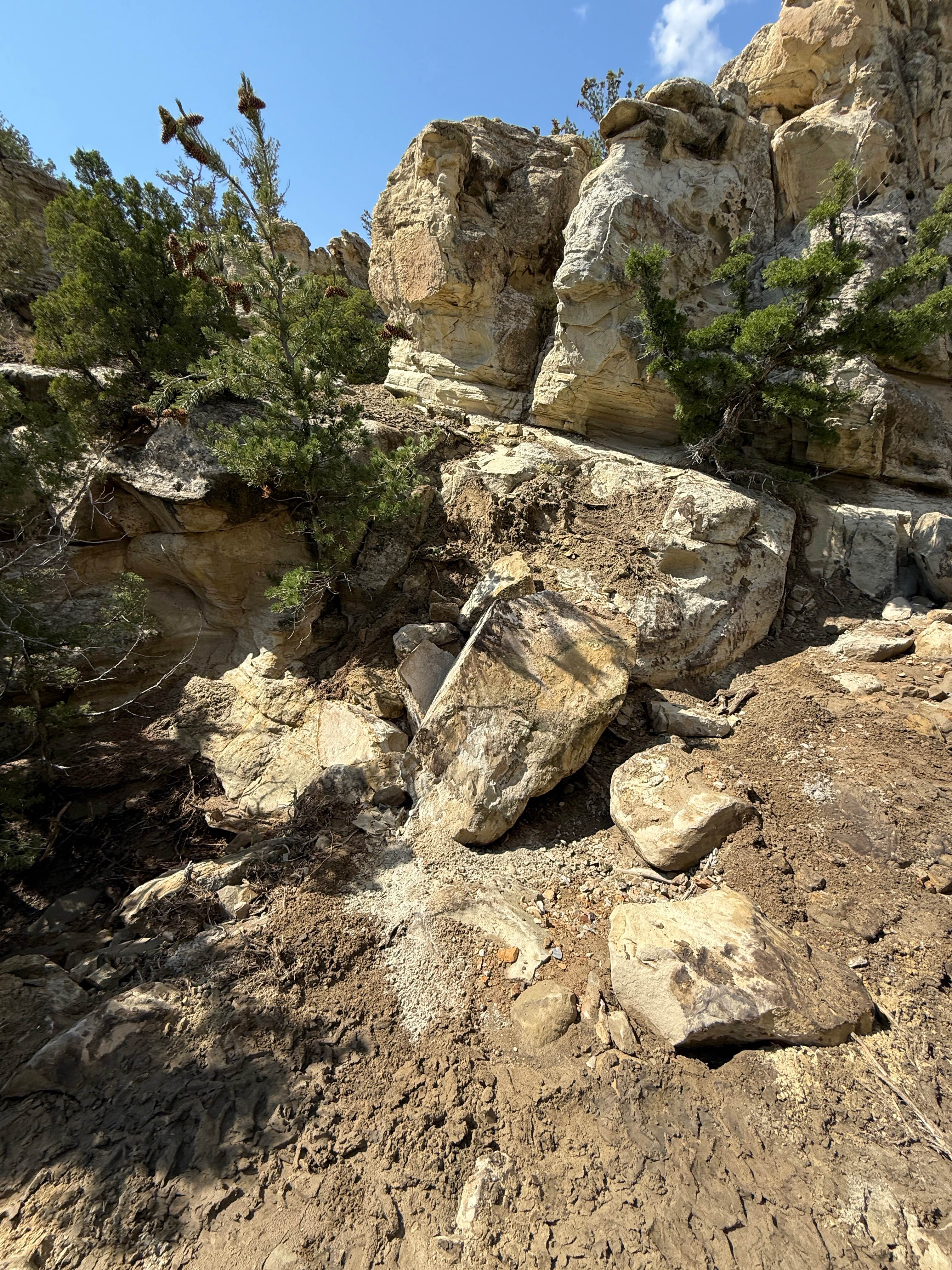Hanging Bridge Trail