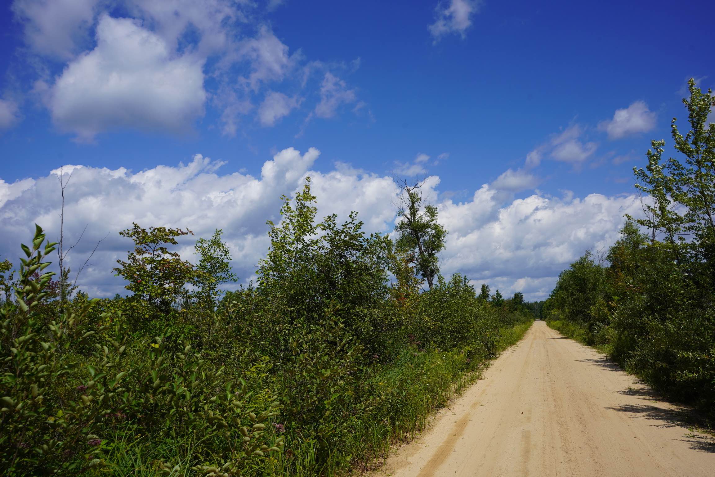 Lame Duck Truck Trail