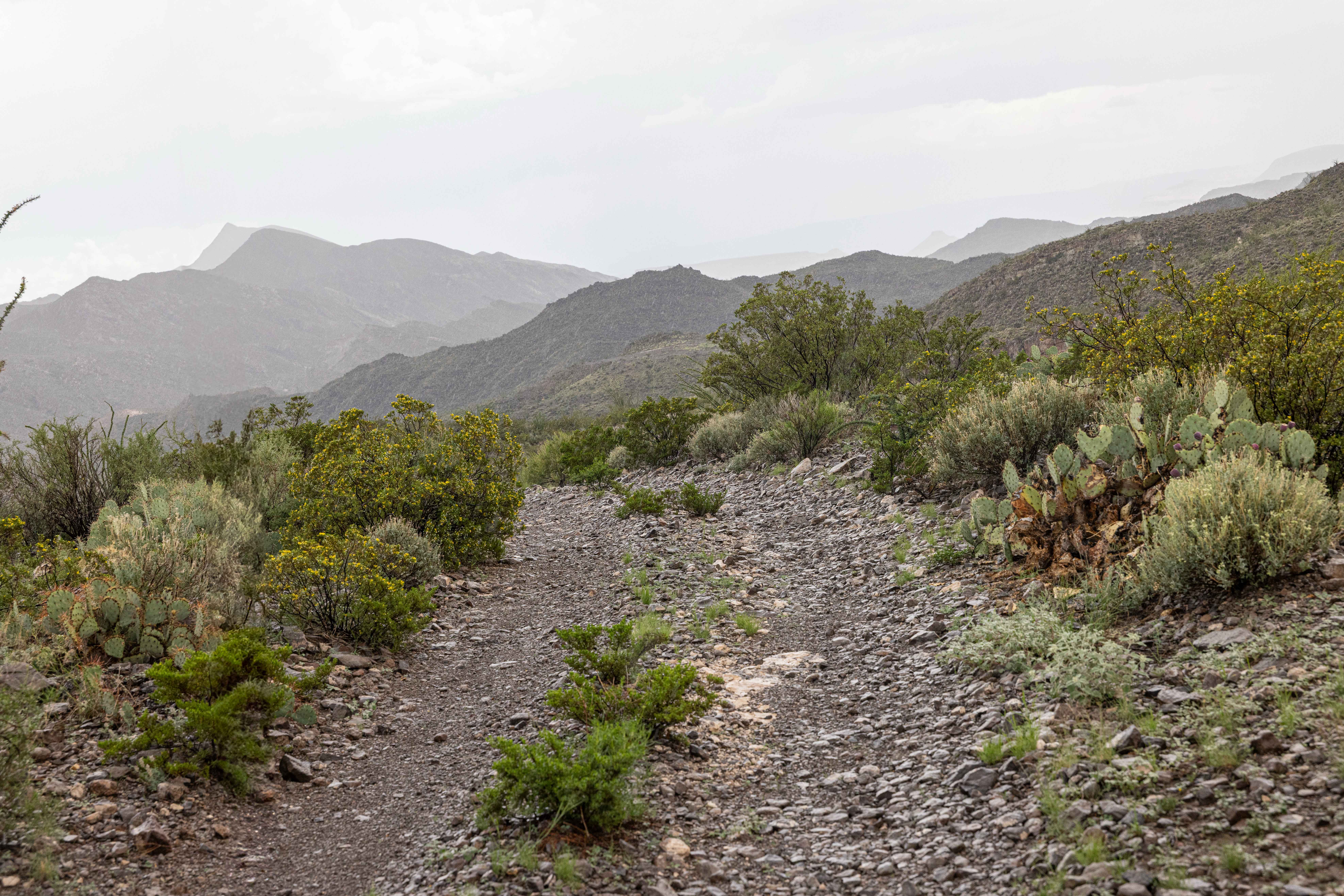 BBRSP Fresno Canyon Rd.
