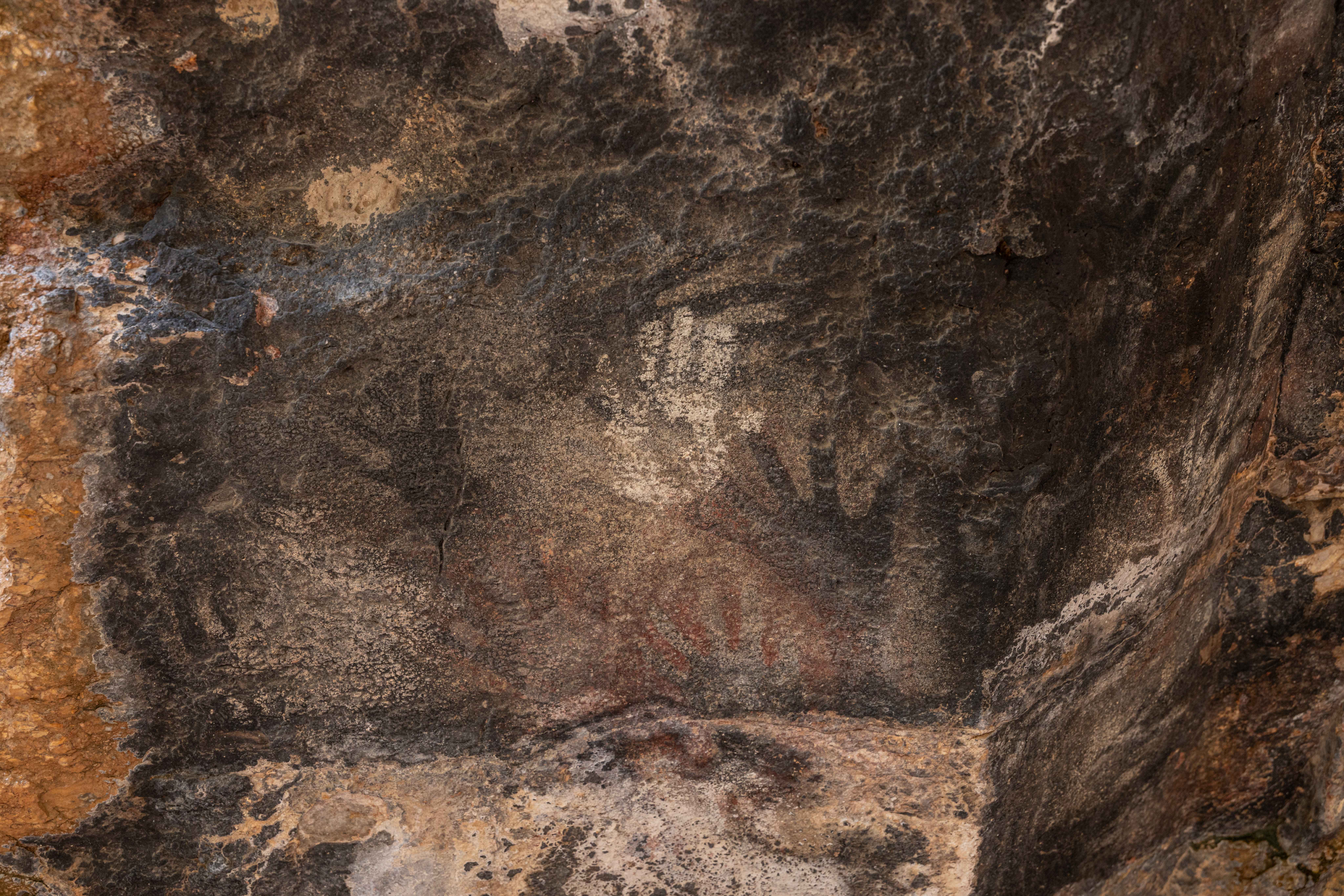 BBRSP Fresno Canyon Rd.