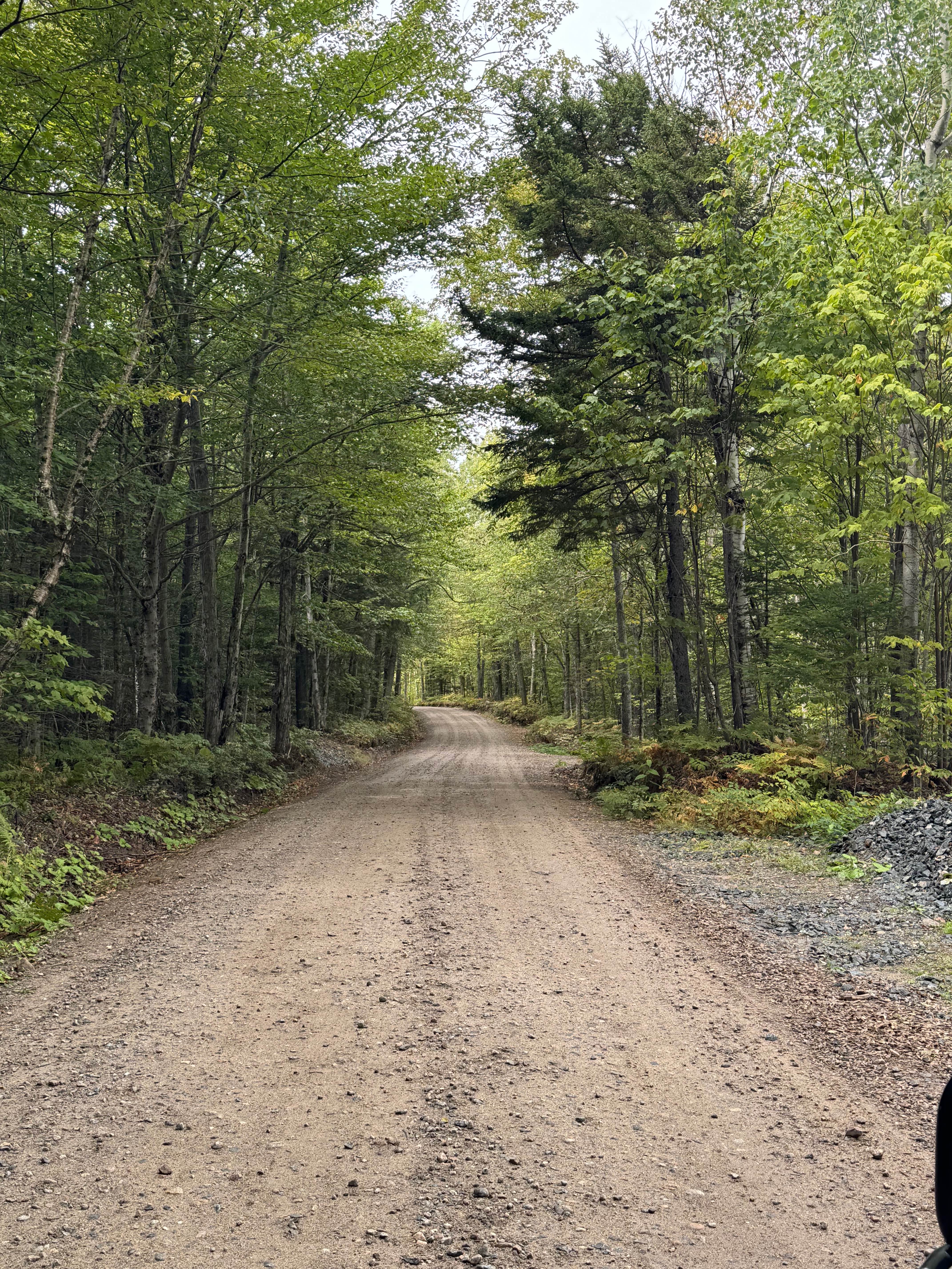 Pine Mountain Notch (Dolly Copp Rd)