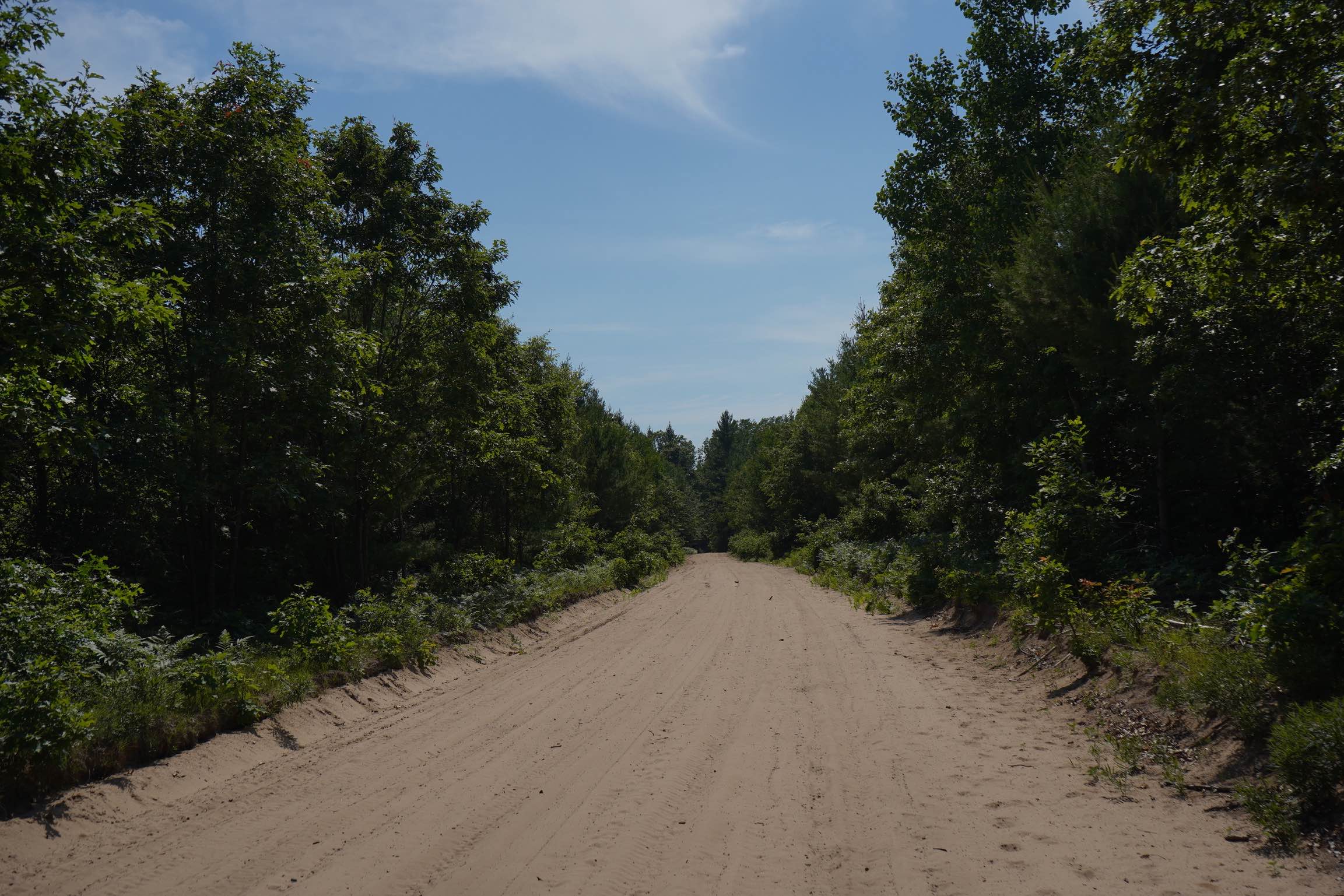 Mosquito Alley Truck Trail