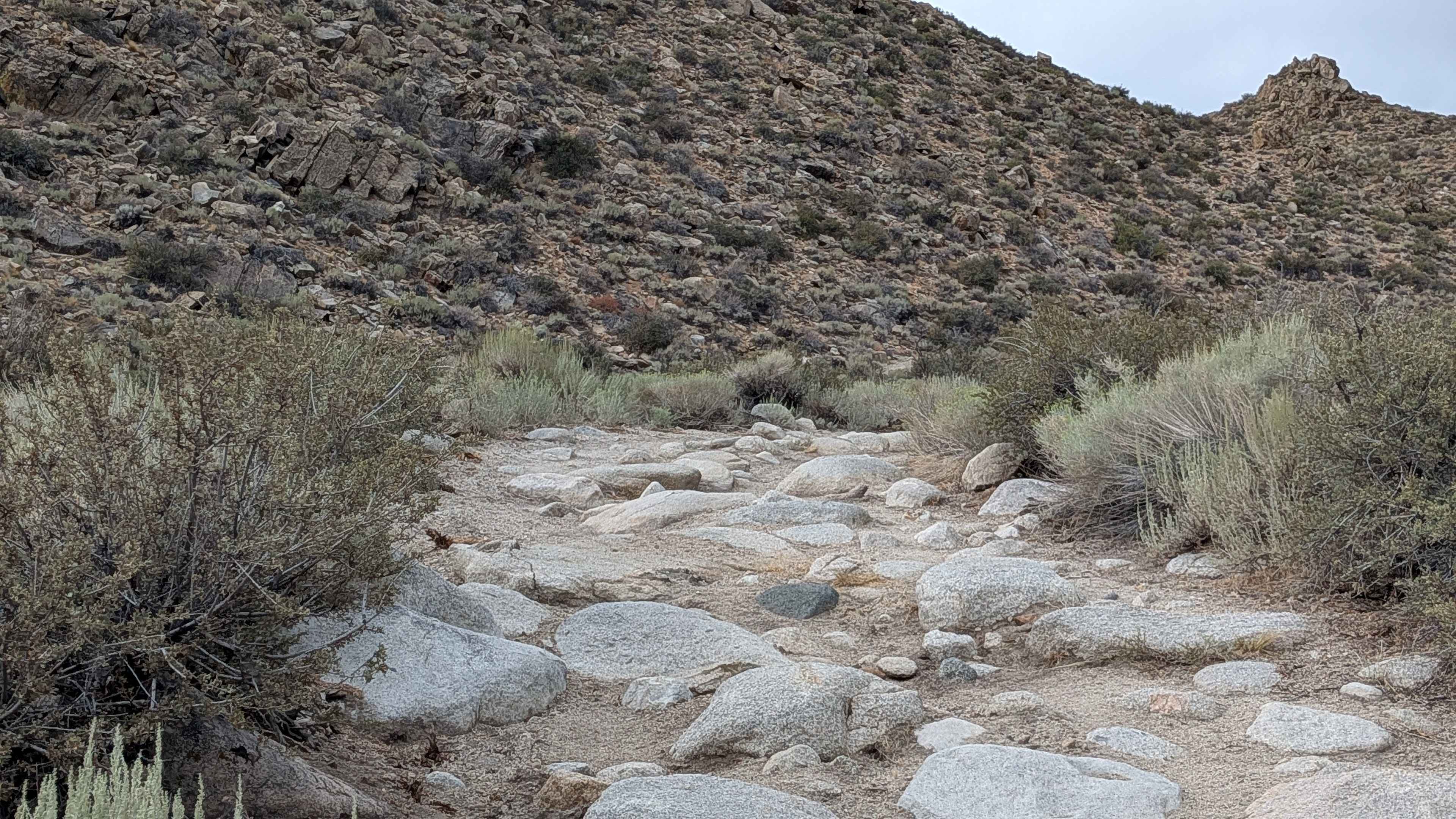 Forest Service Road 7S102