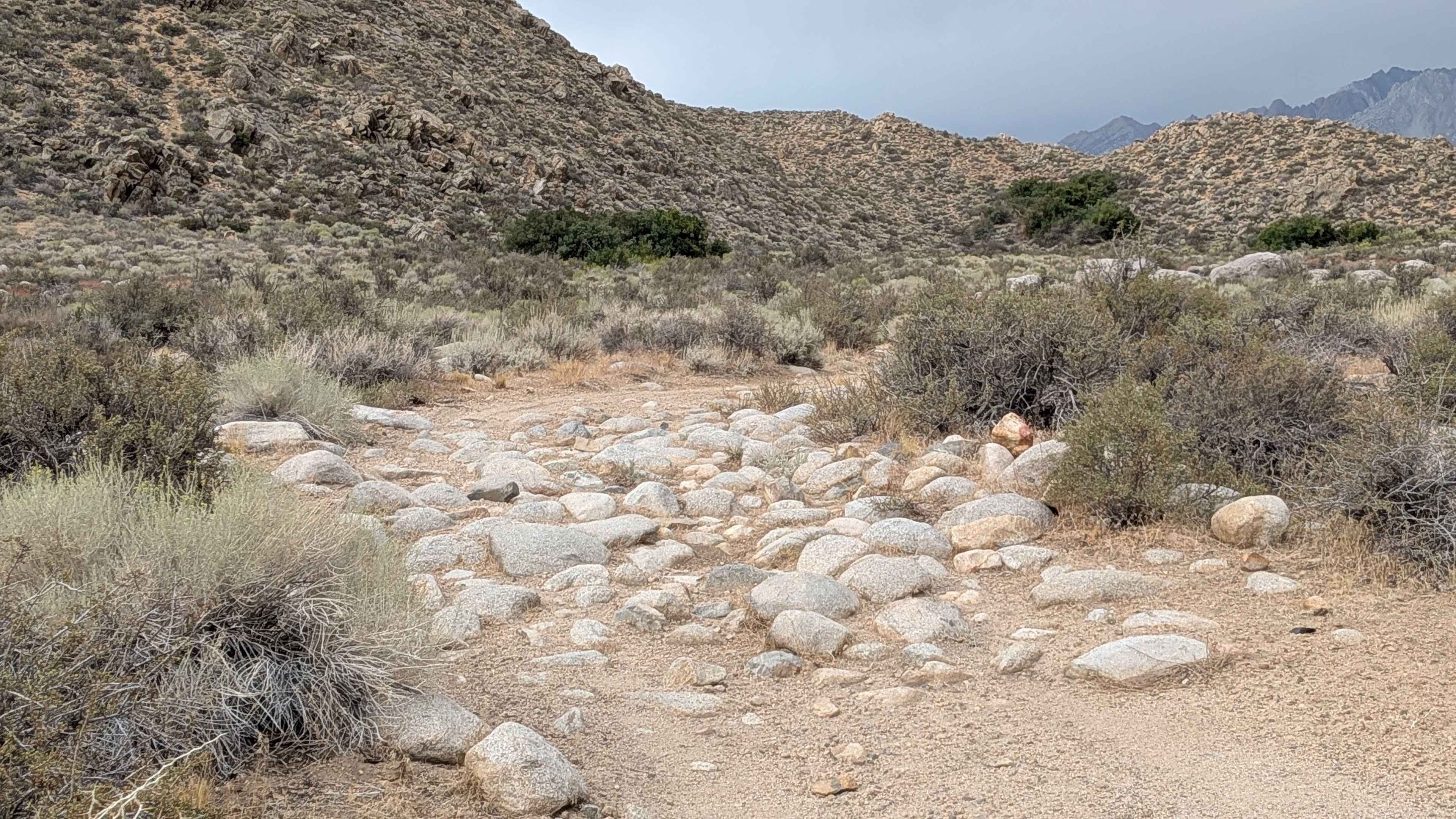 Forest Service Road 7S102