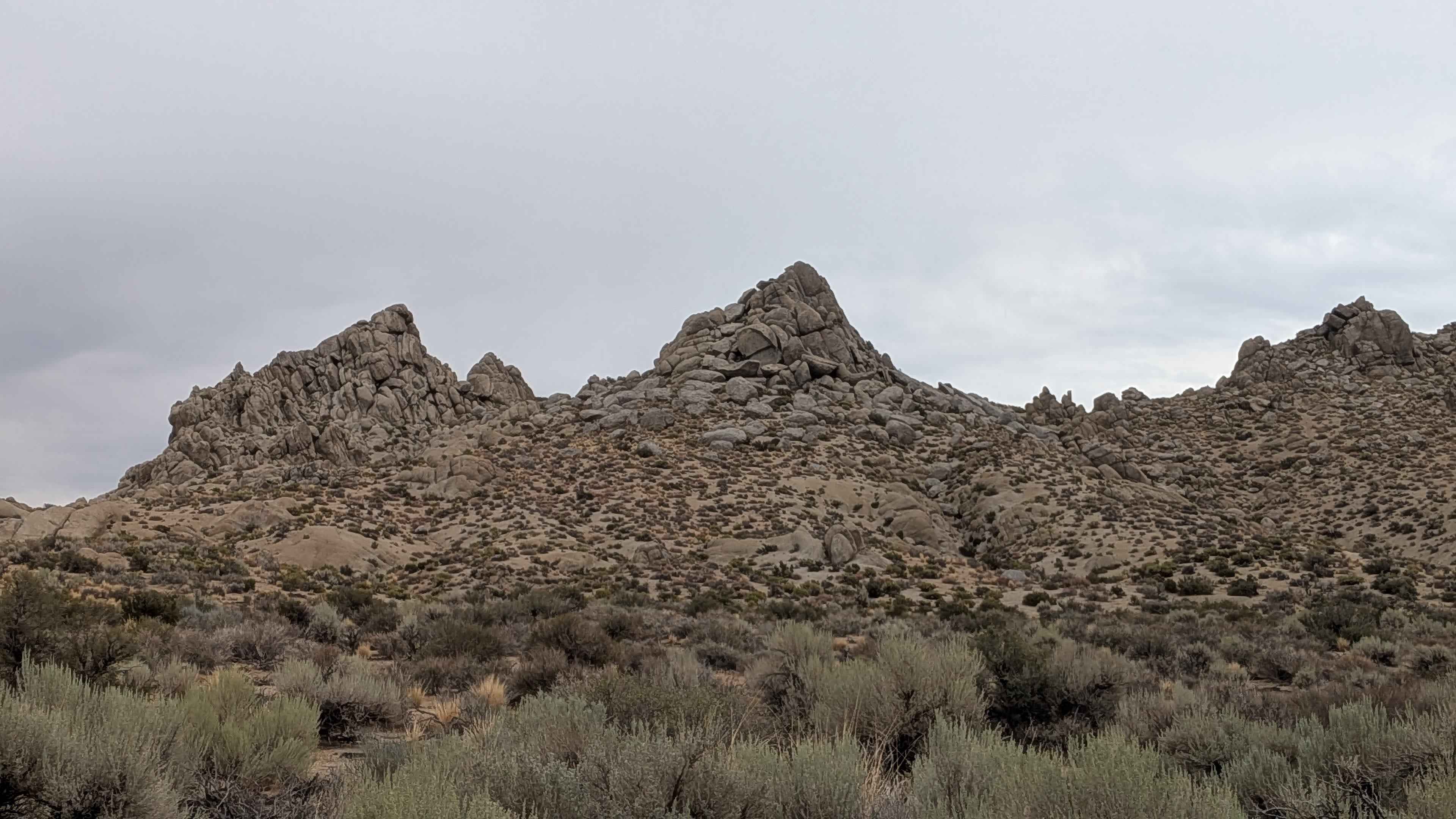 Longley Meadow - FS 7504