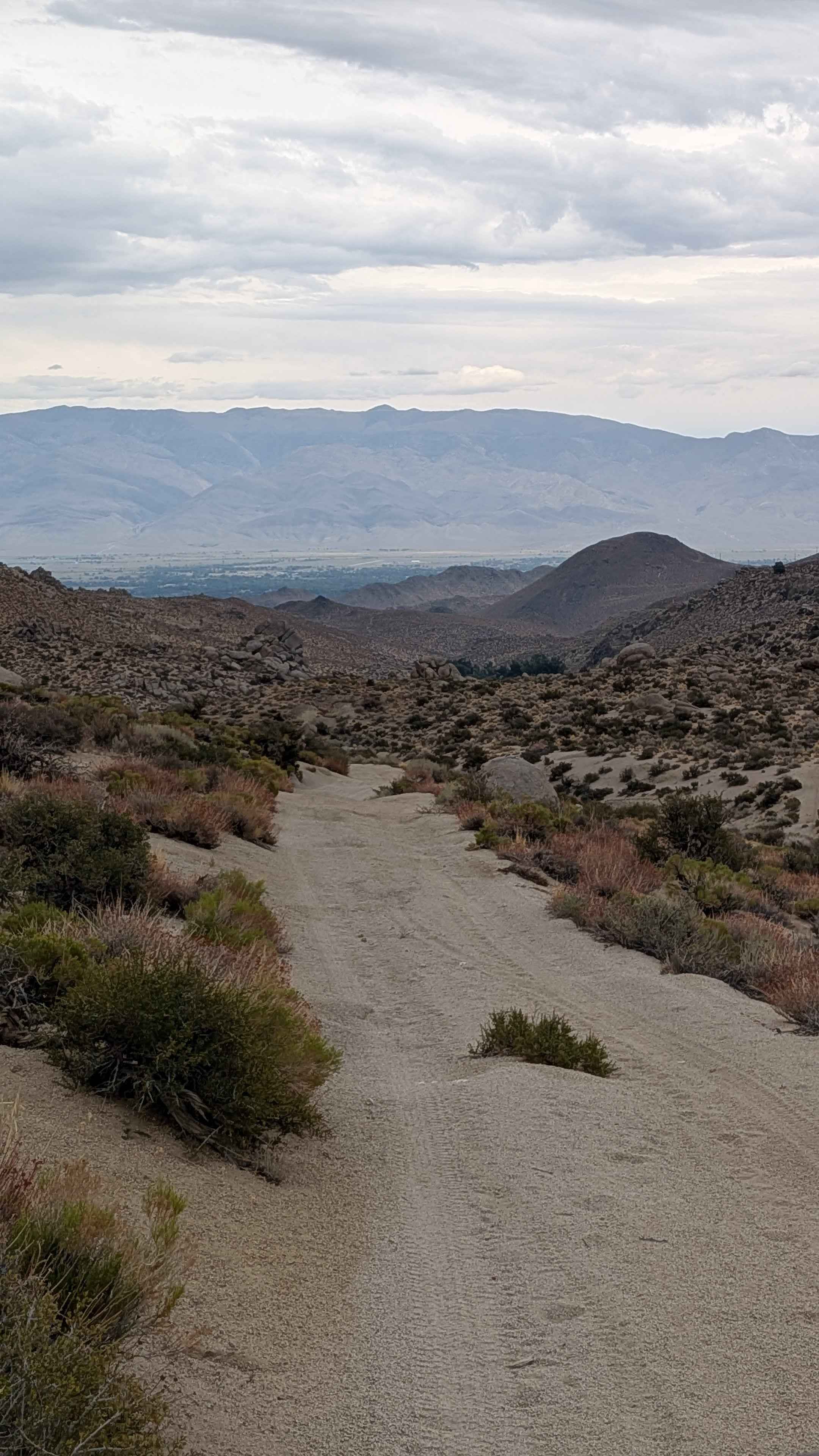 Longley Meadow - FS 7504