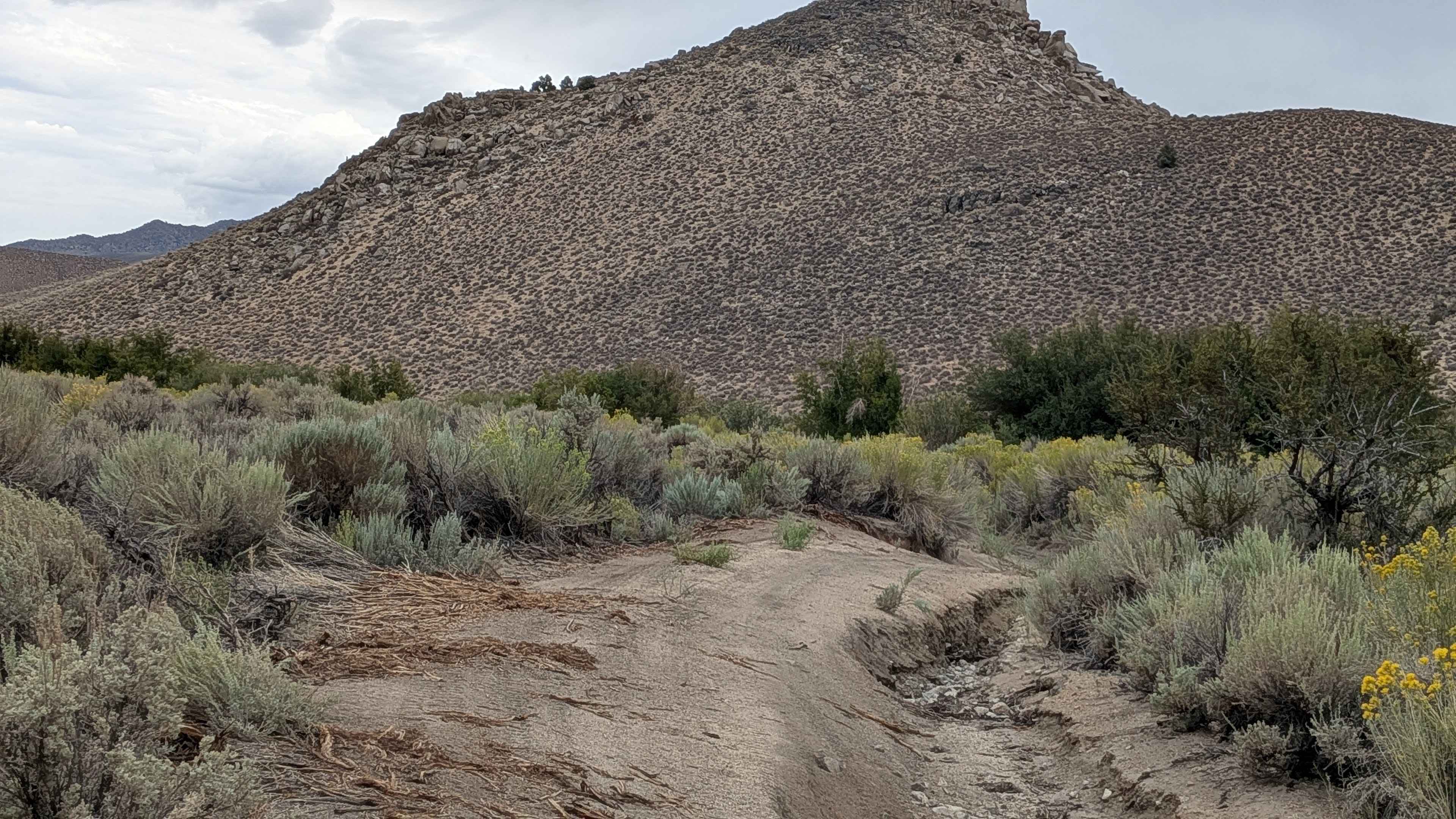 Lucky Strike Mine - FS 7S105