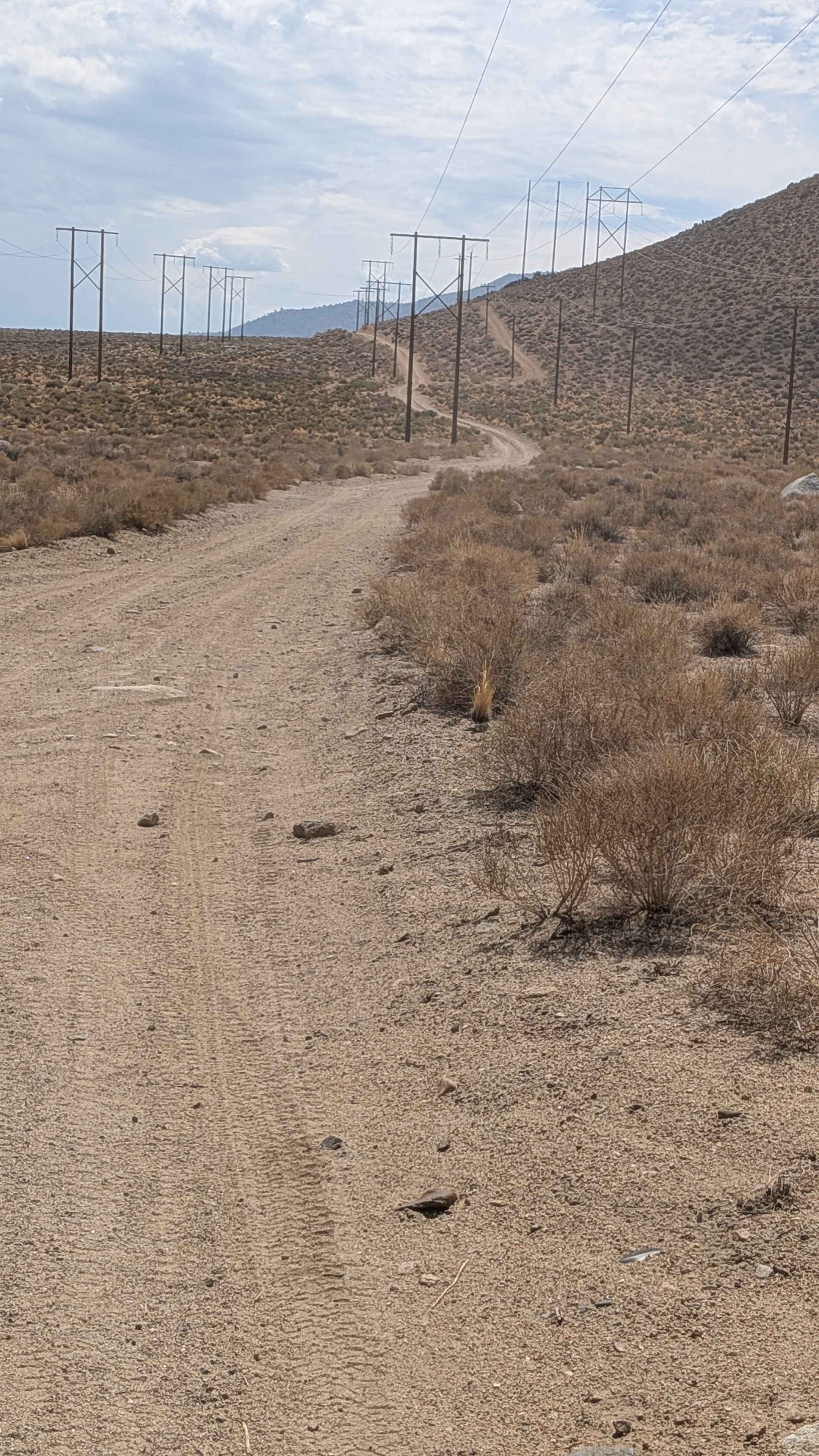 Tungsten Hills Cutoff