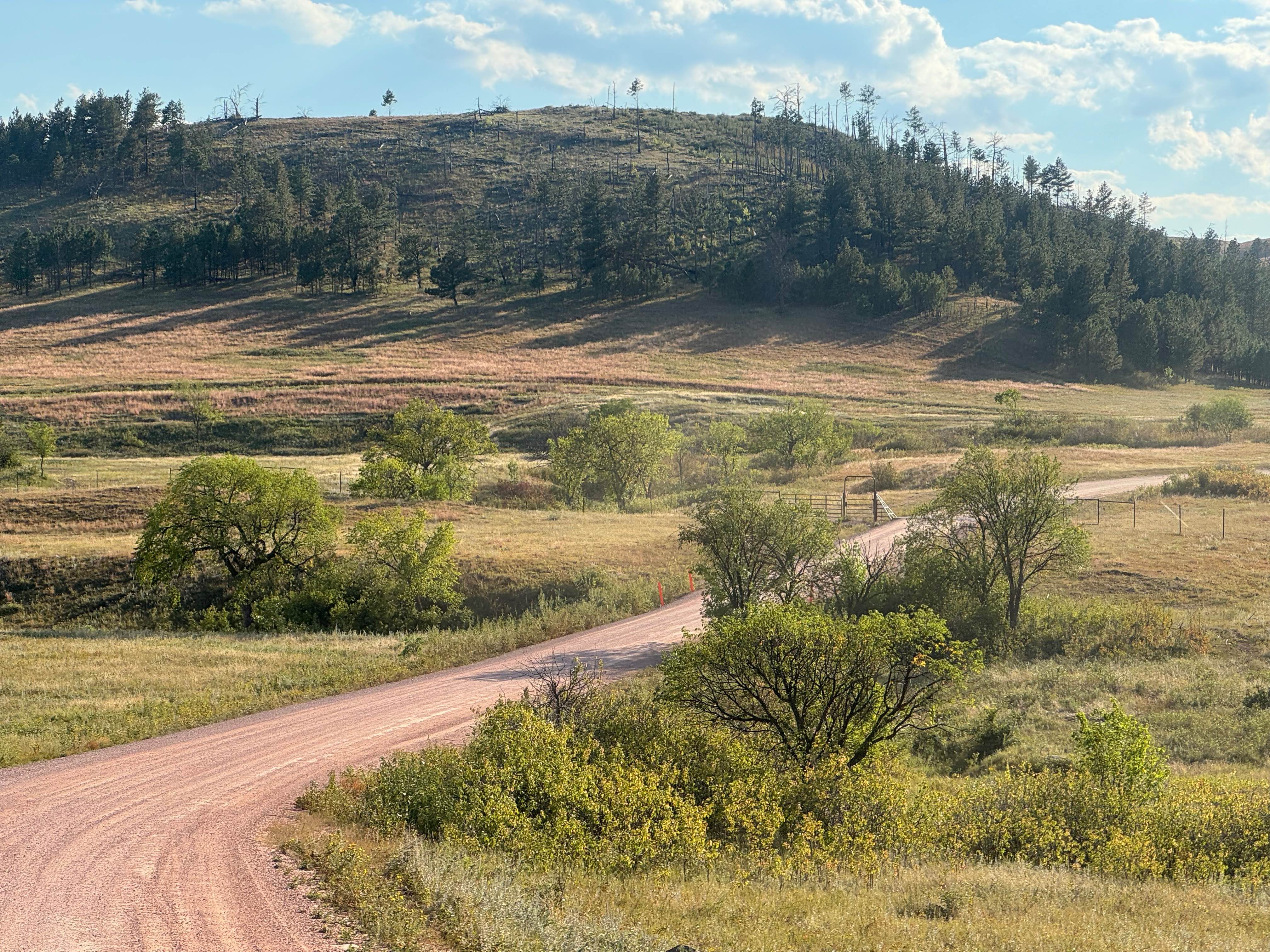 Oak Draw Road- CSP 3