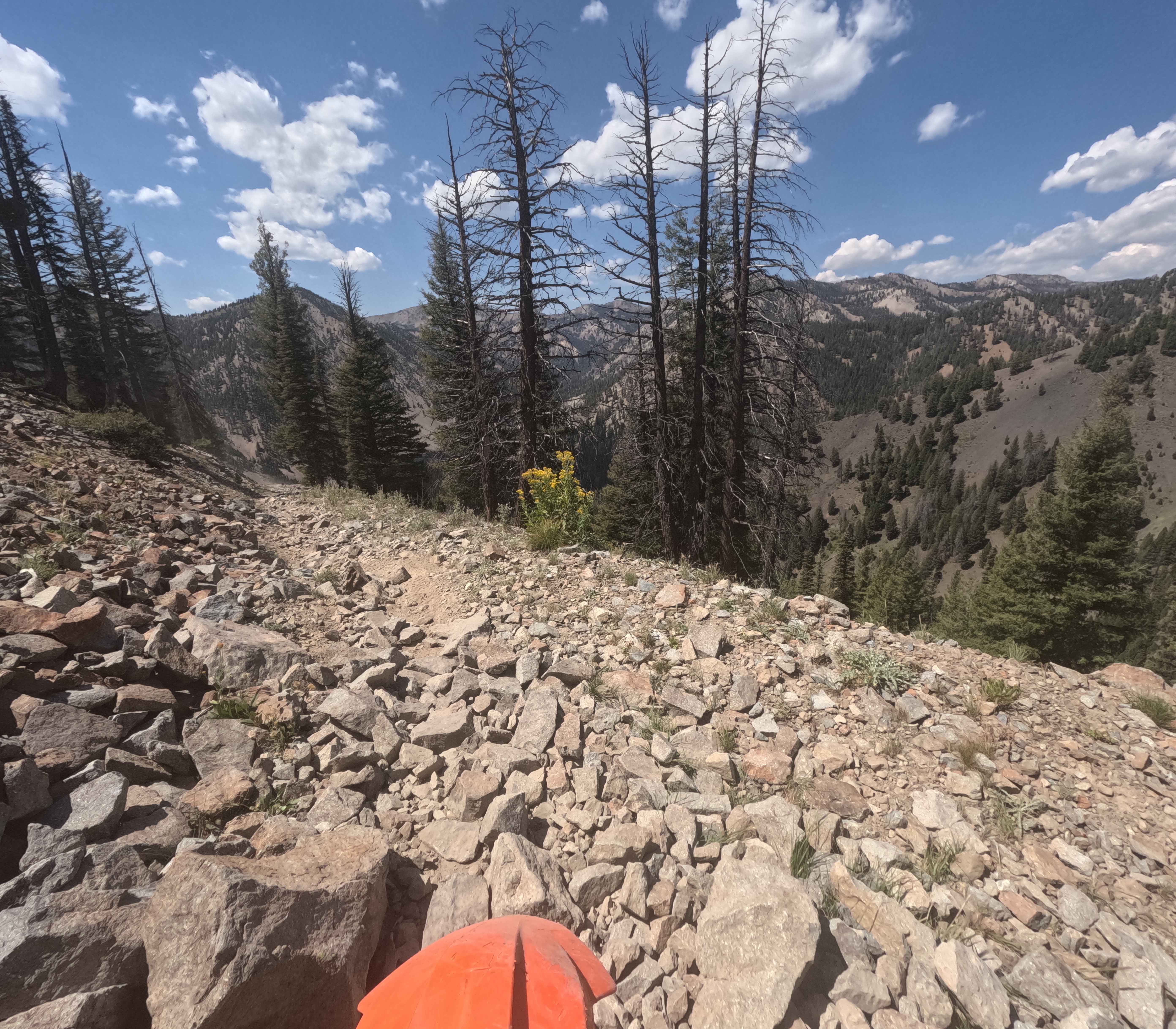 Mule Creek - FS 7198