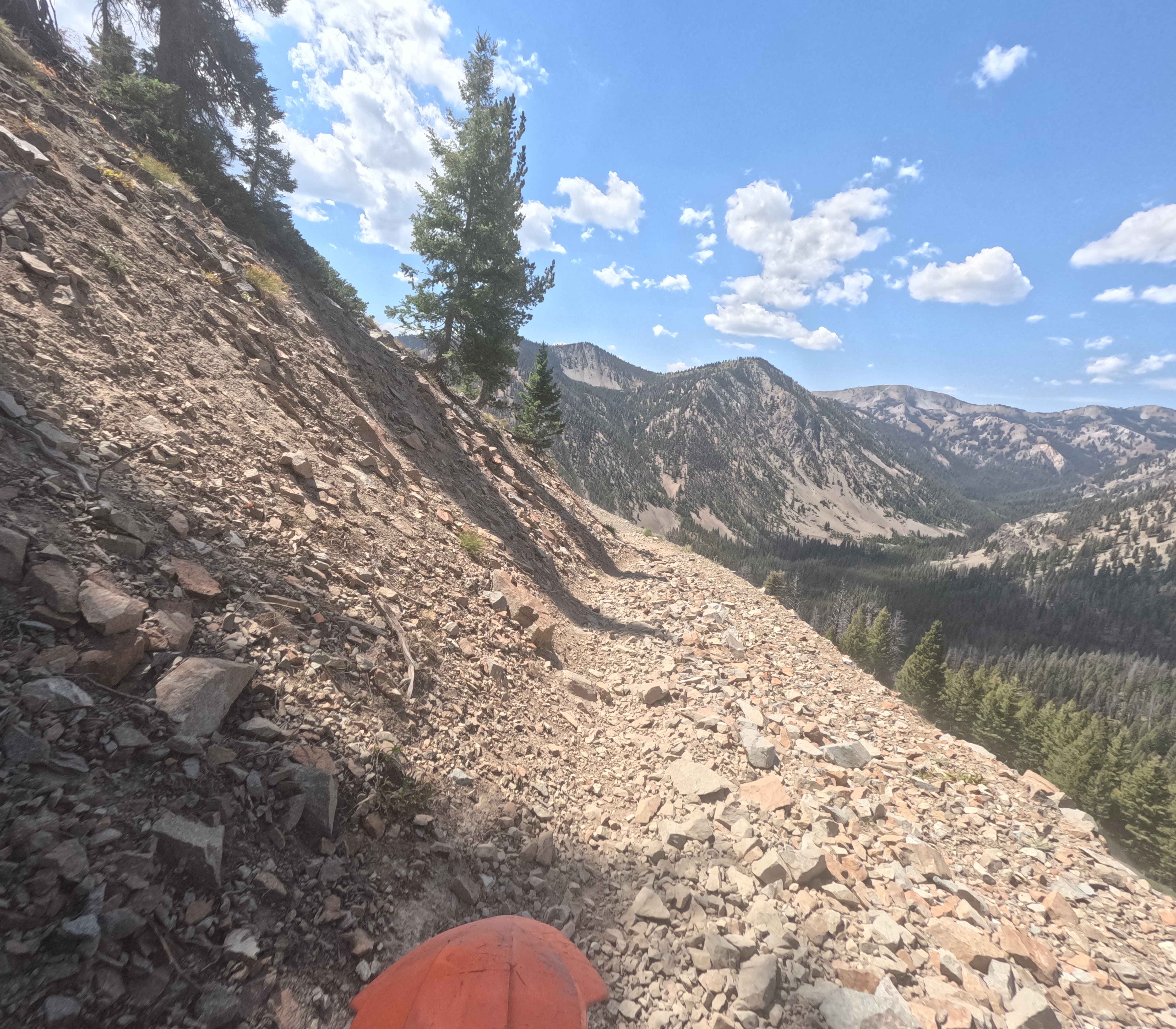 Mule Creek - FS 7198