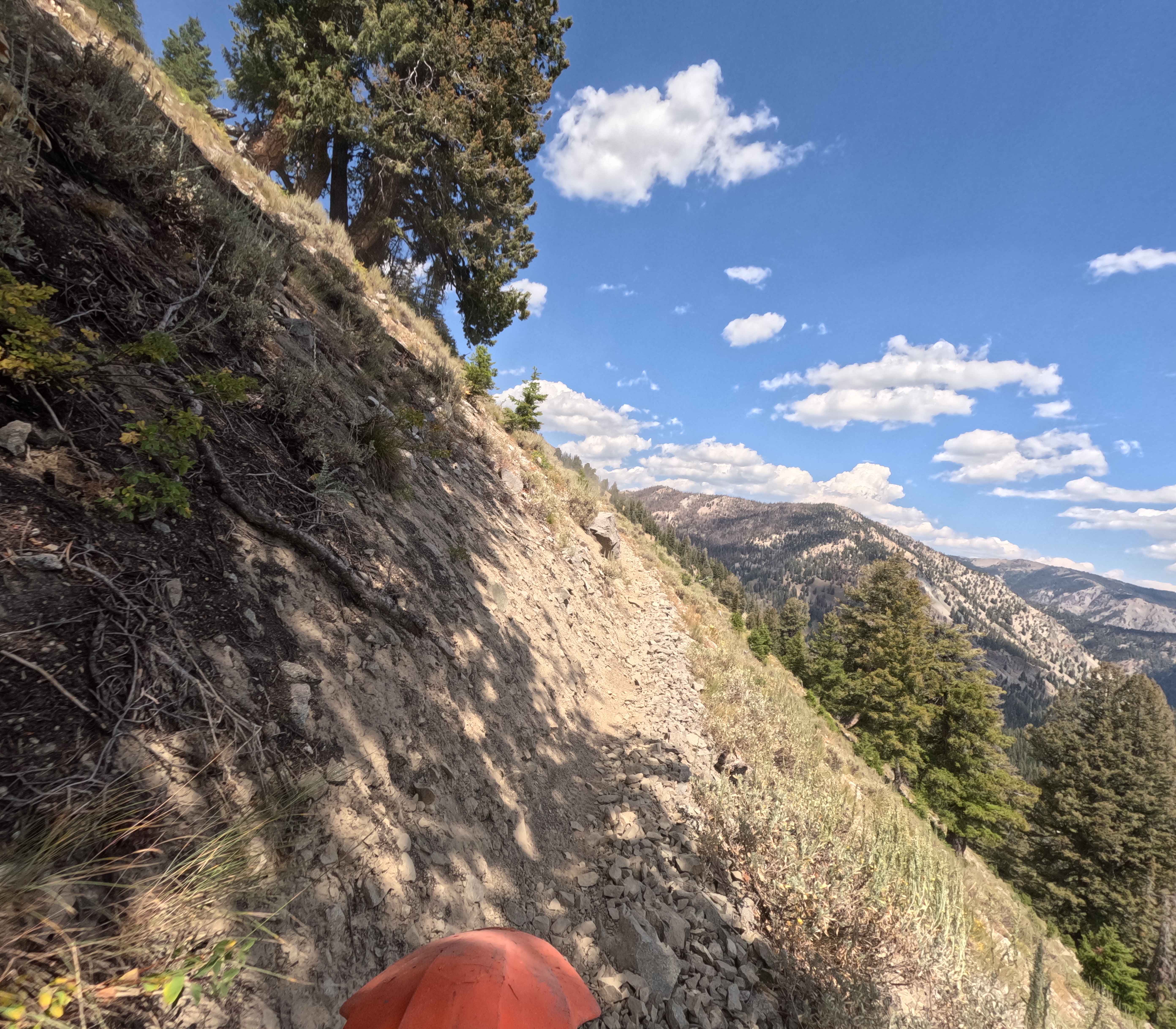 Paradise Creek - FS 7070