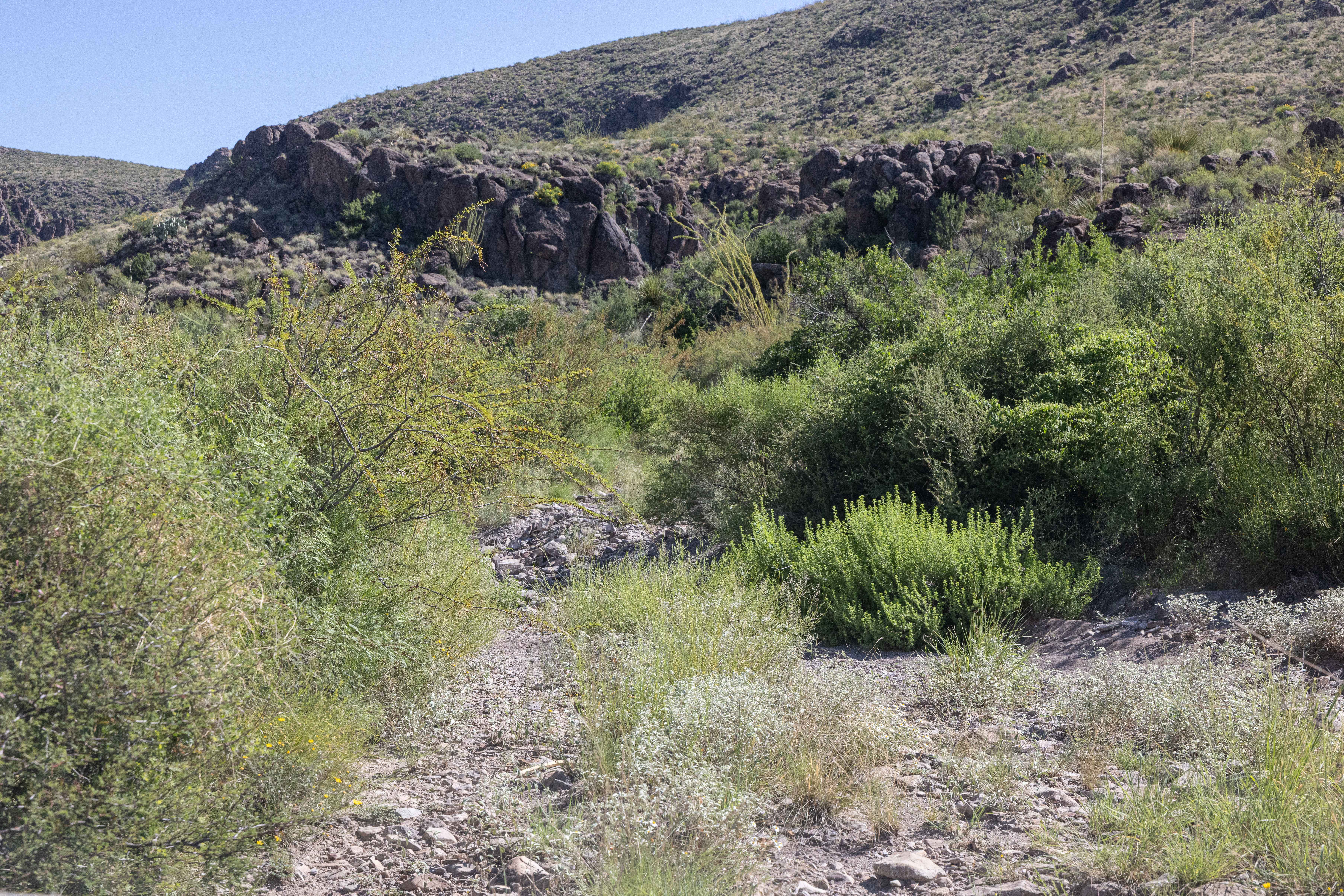 BBRSP - Rancherias Loop Road