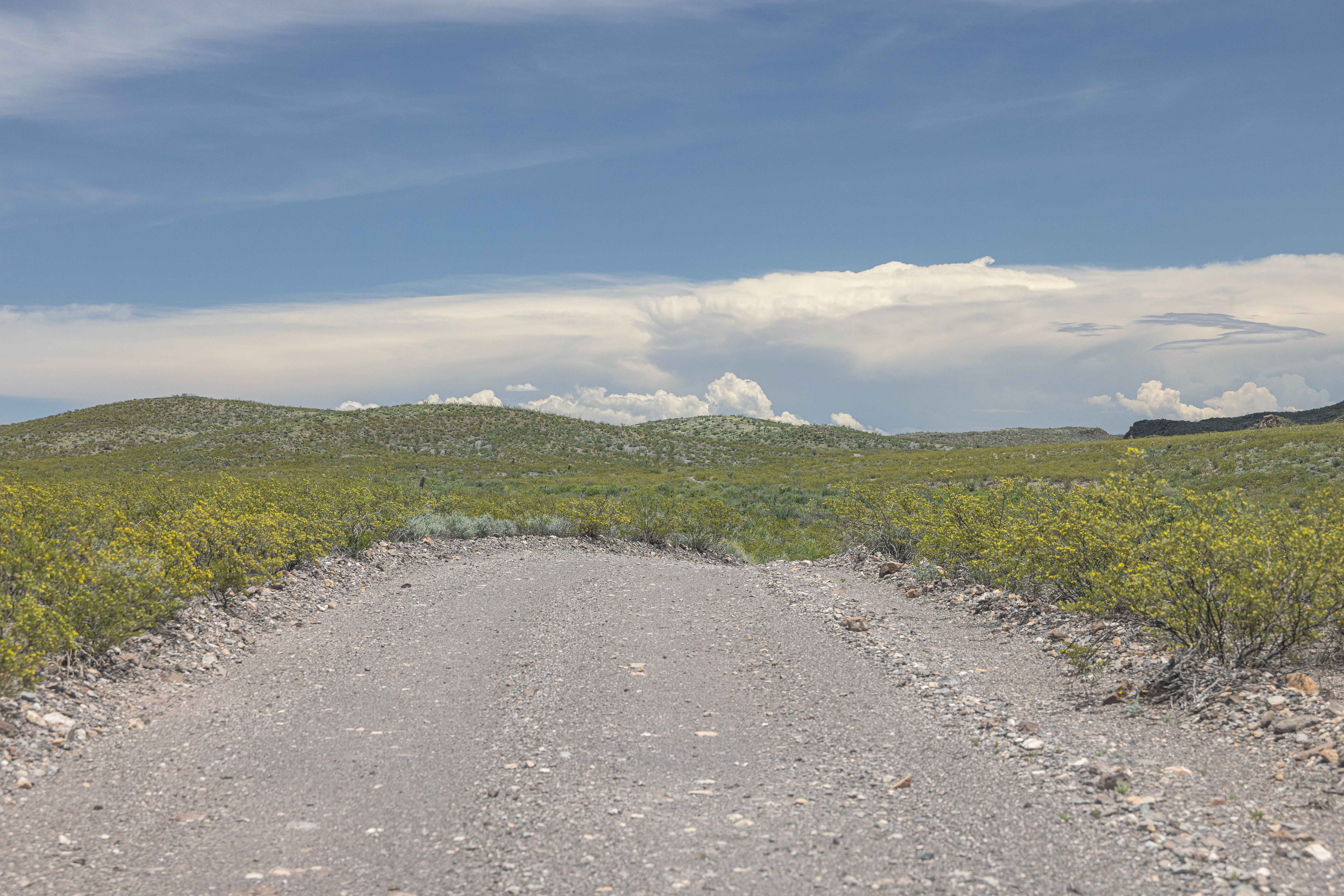 BBRSP - Solitario Road