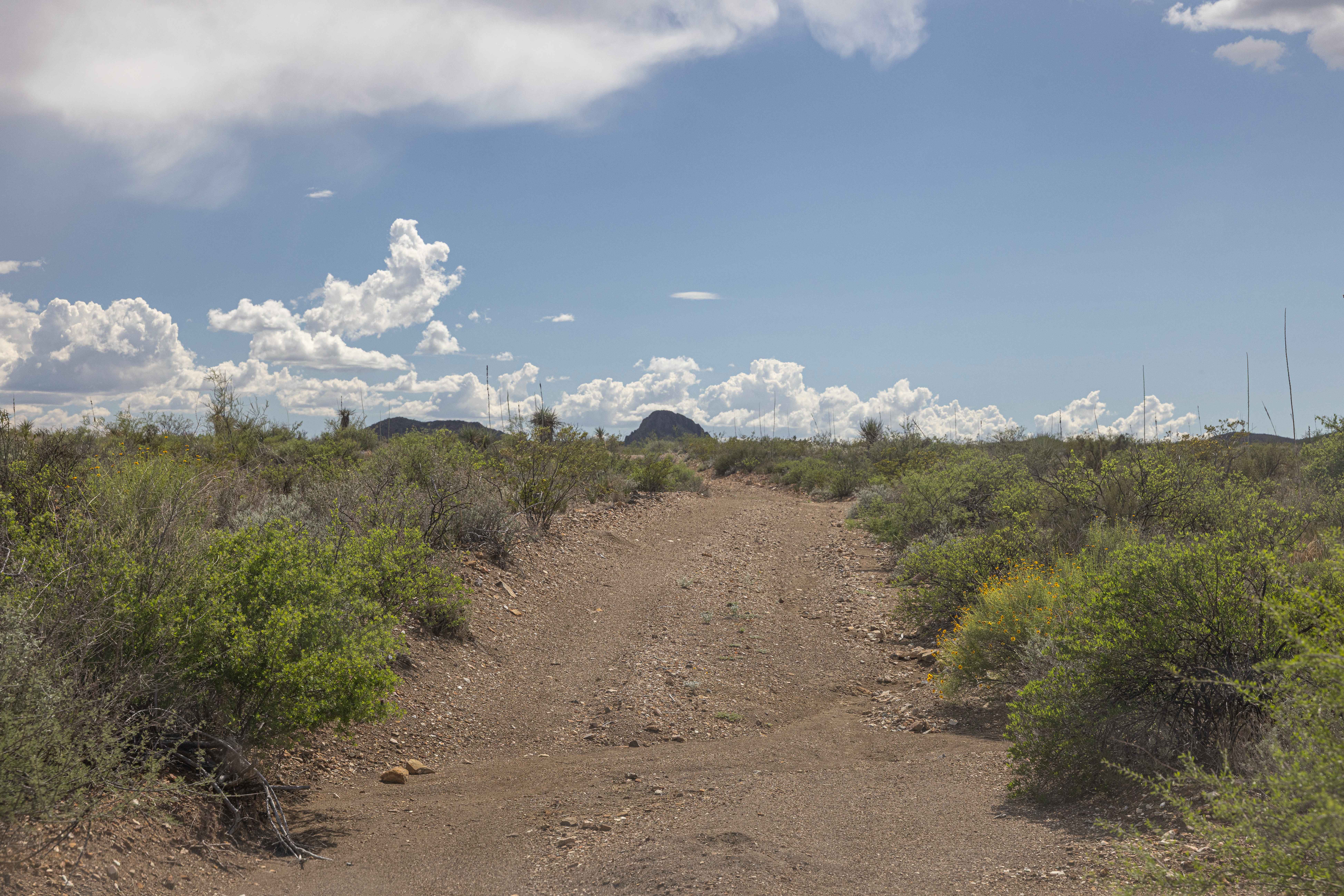 BBRSP - Solitario Road