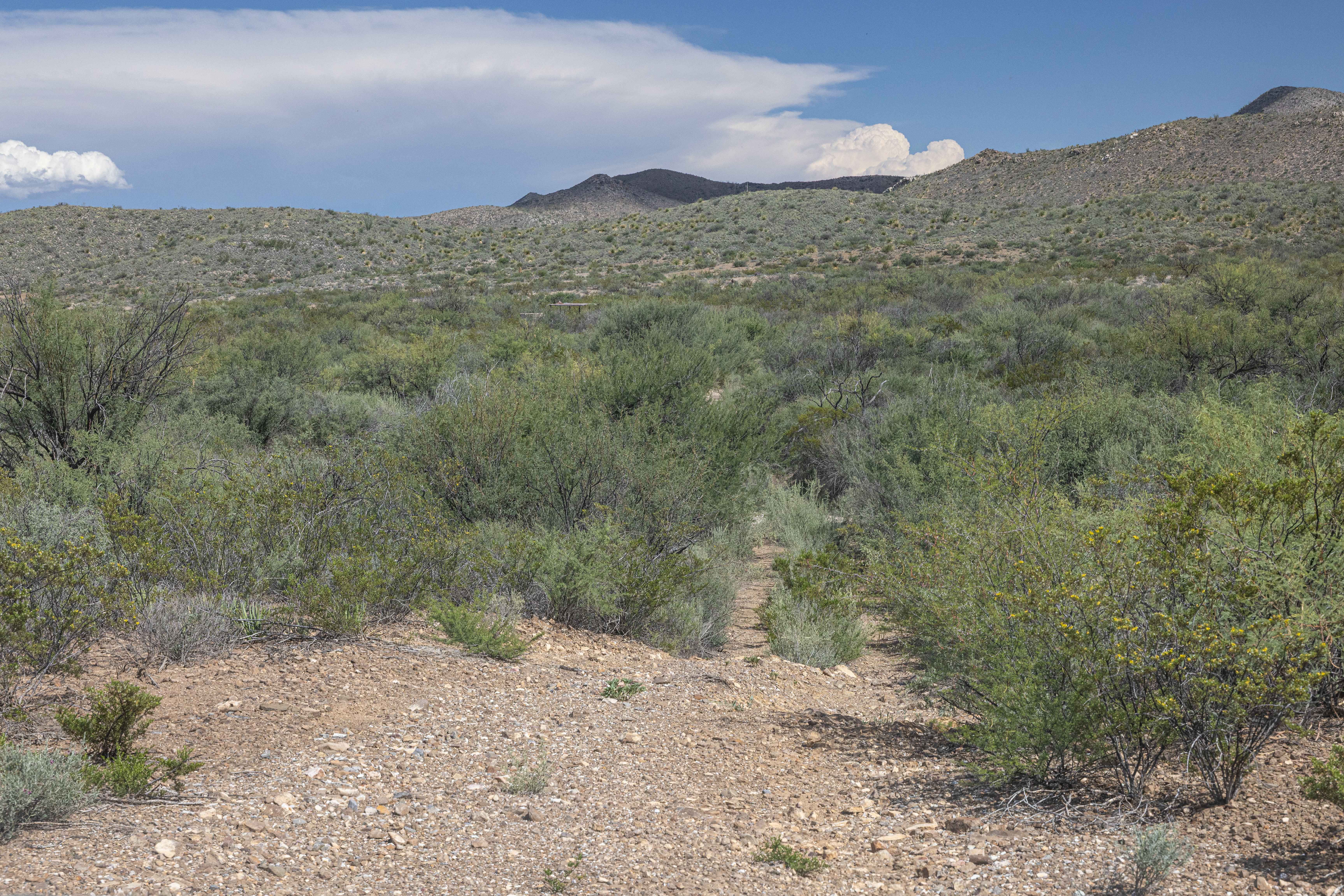 BBRSP - Tres Papalotes Tanks Road