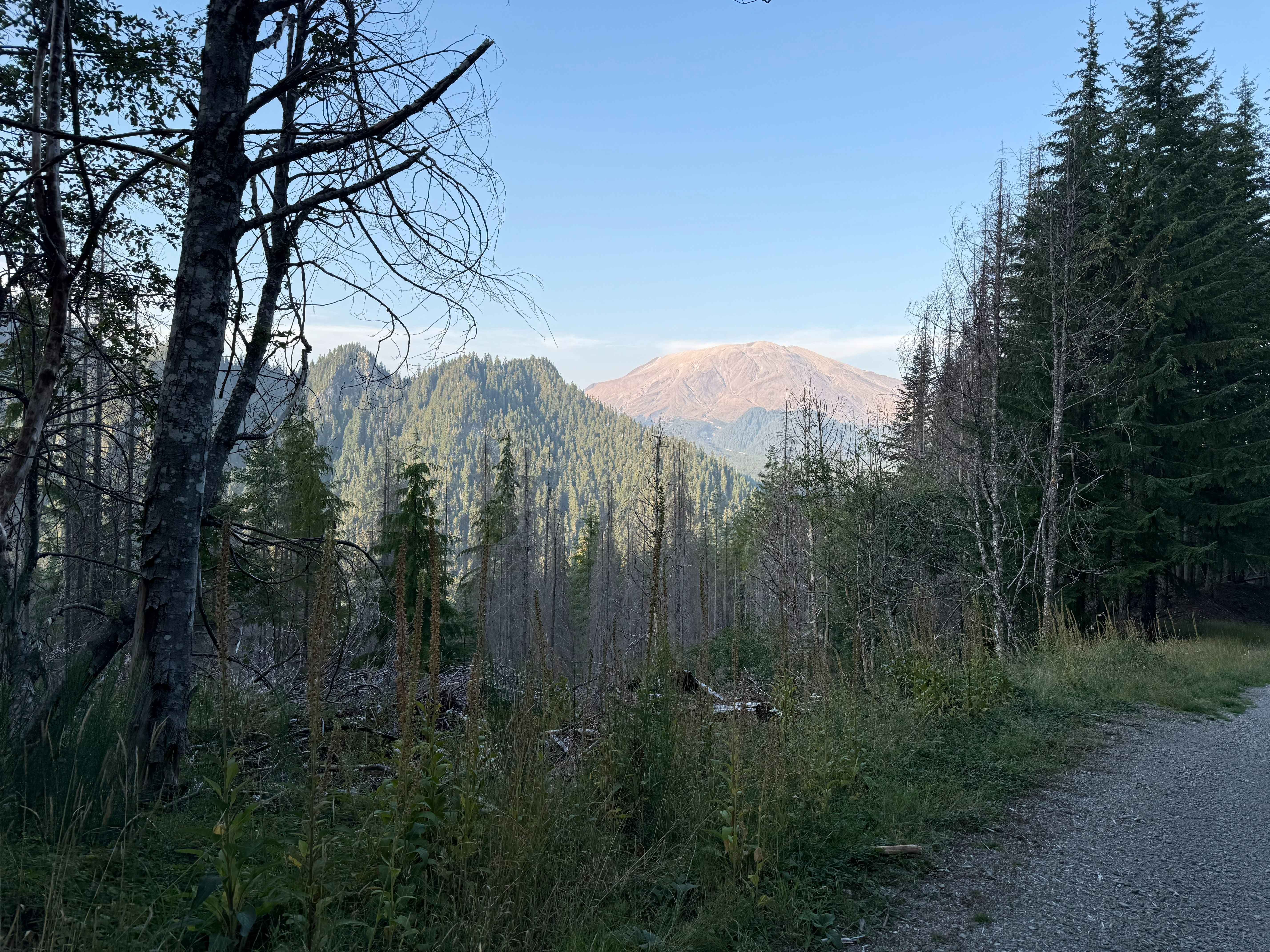 Cougar Creek Road - FS 812200-802200