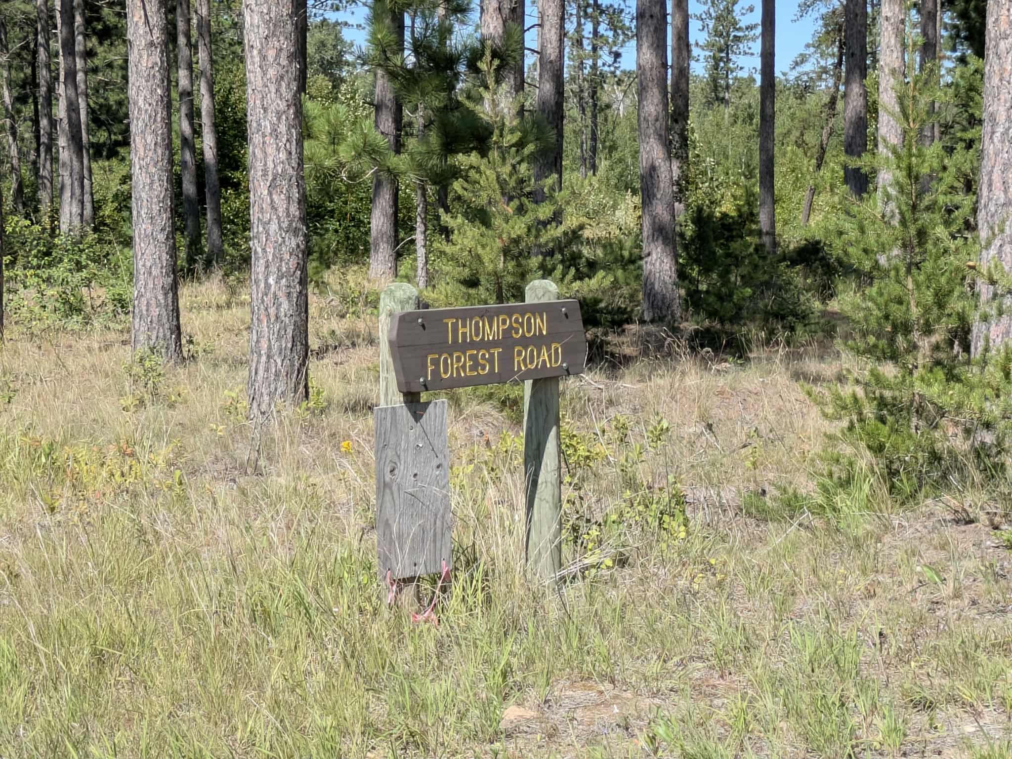 Thompson Forest Road