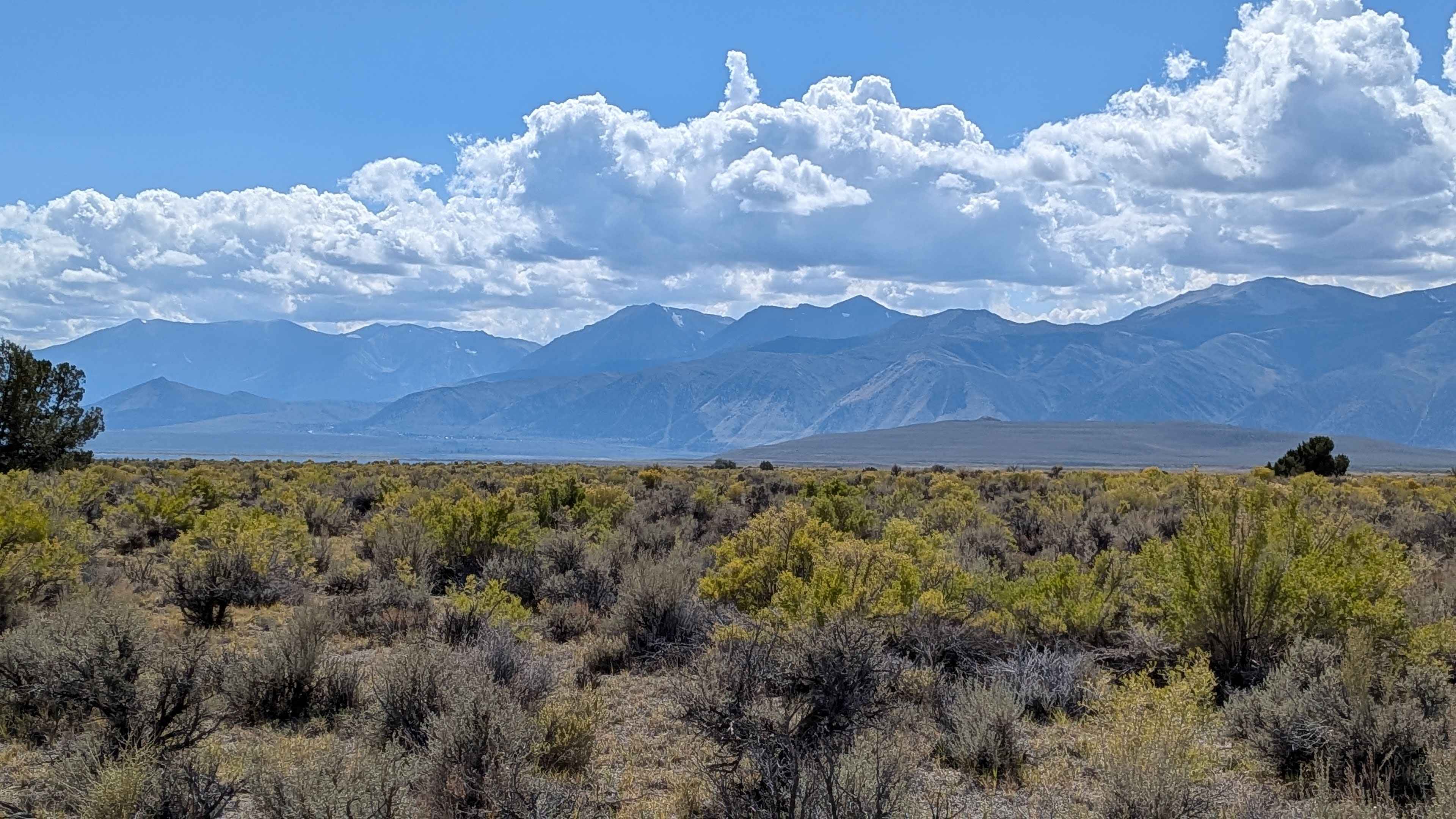 Wadford Springs Cutoff - FS 2N47