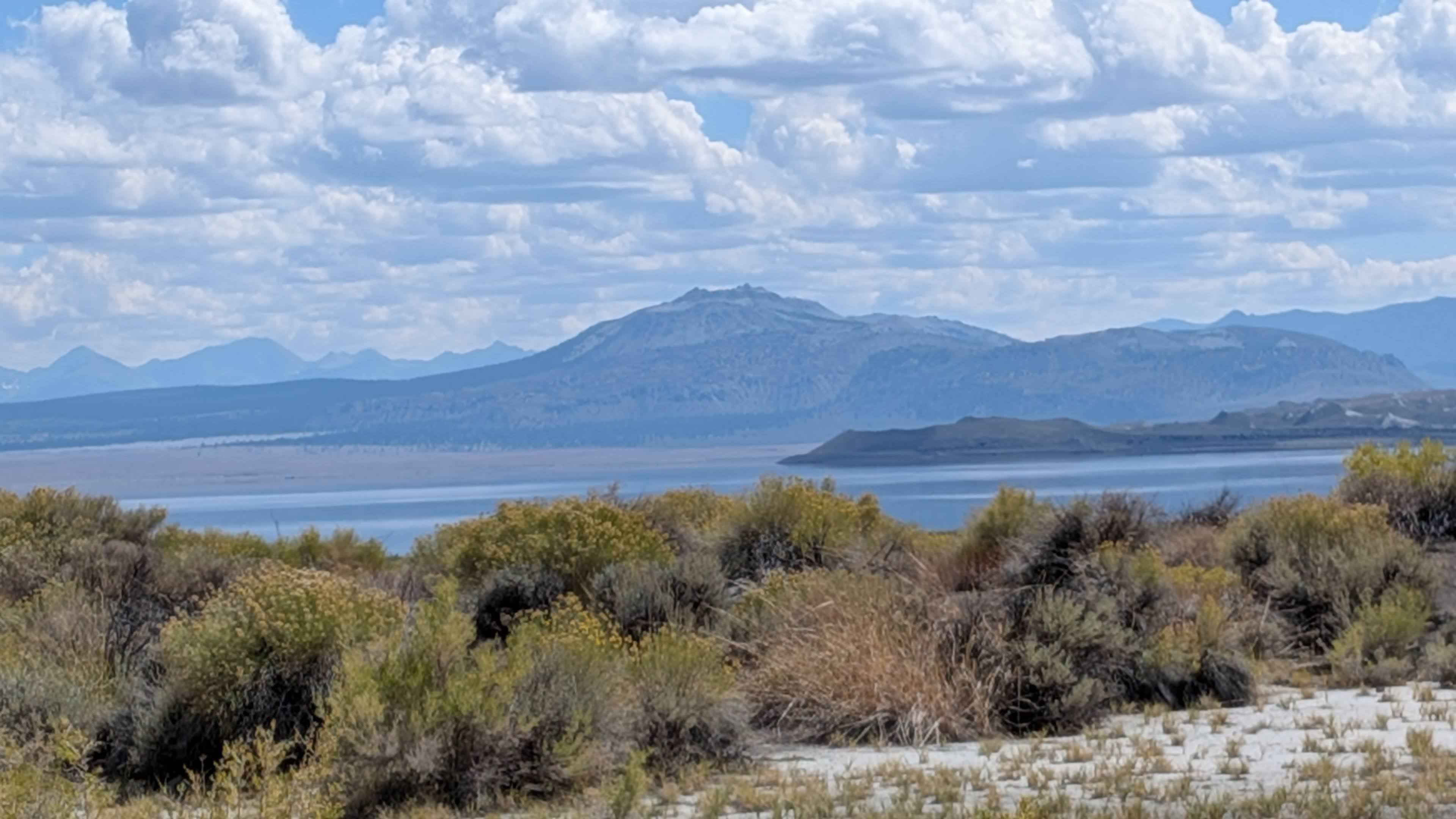 Wadford Springs Cutoff - FS 2N47