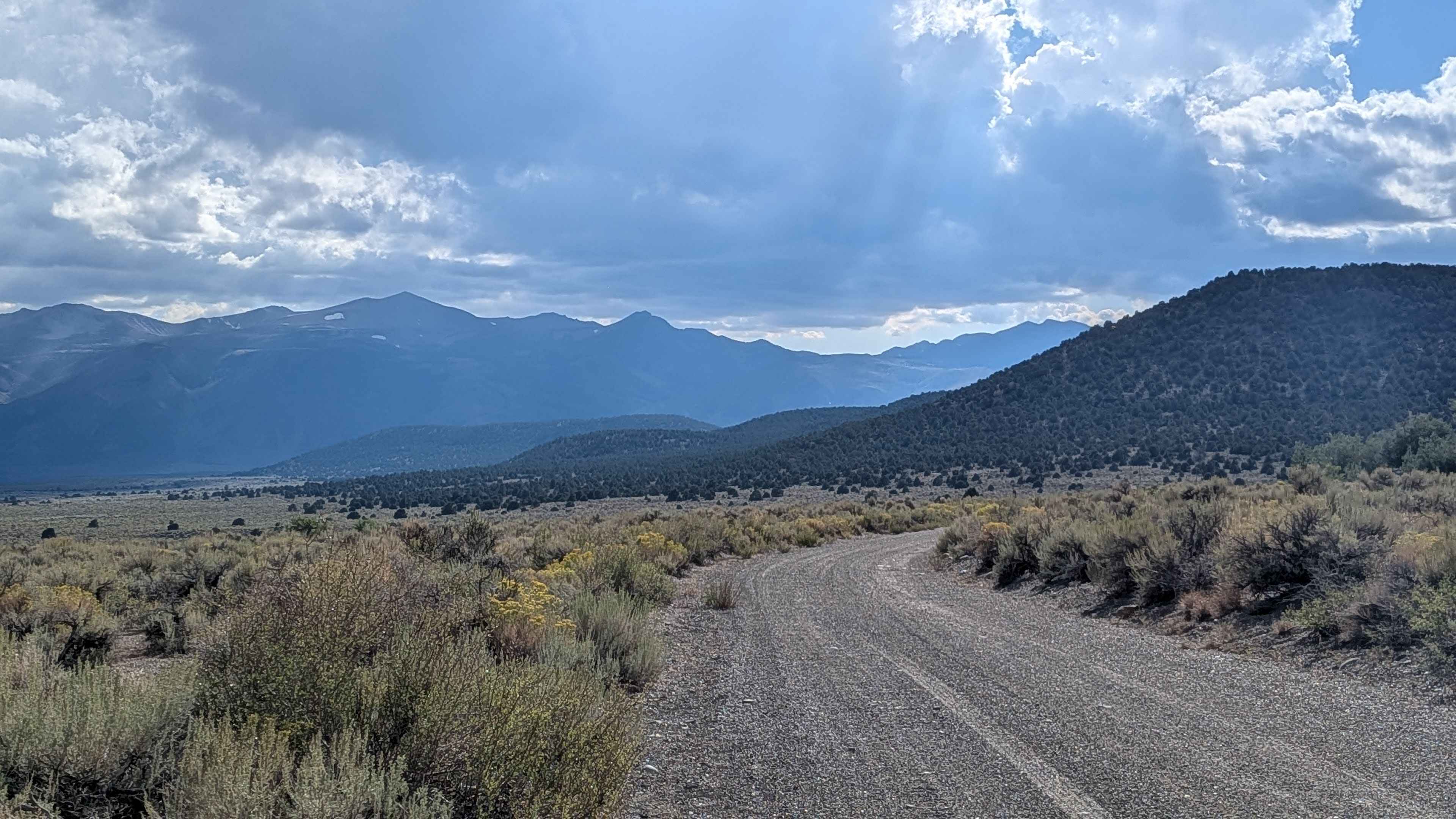 Dobie Meadows Road North