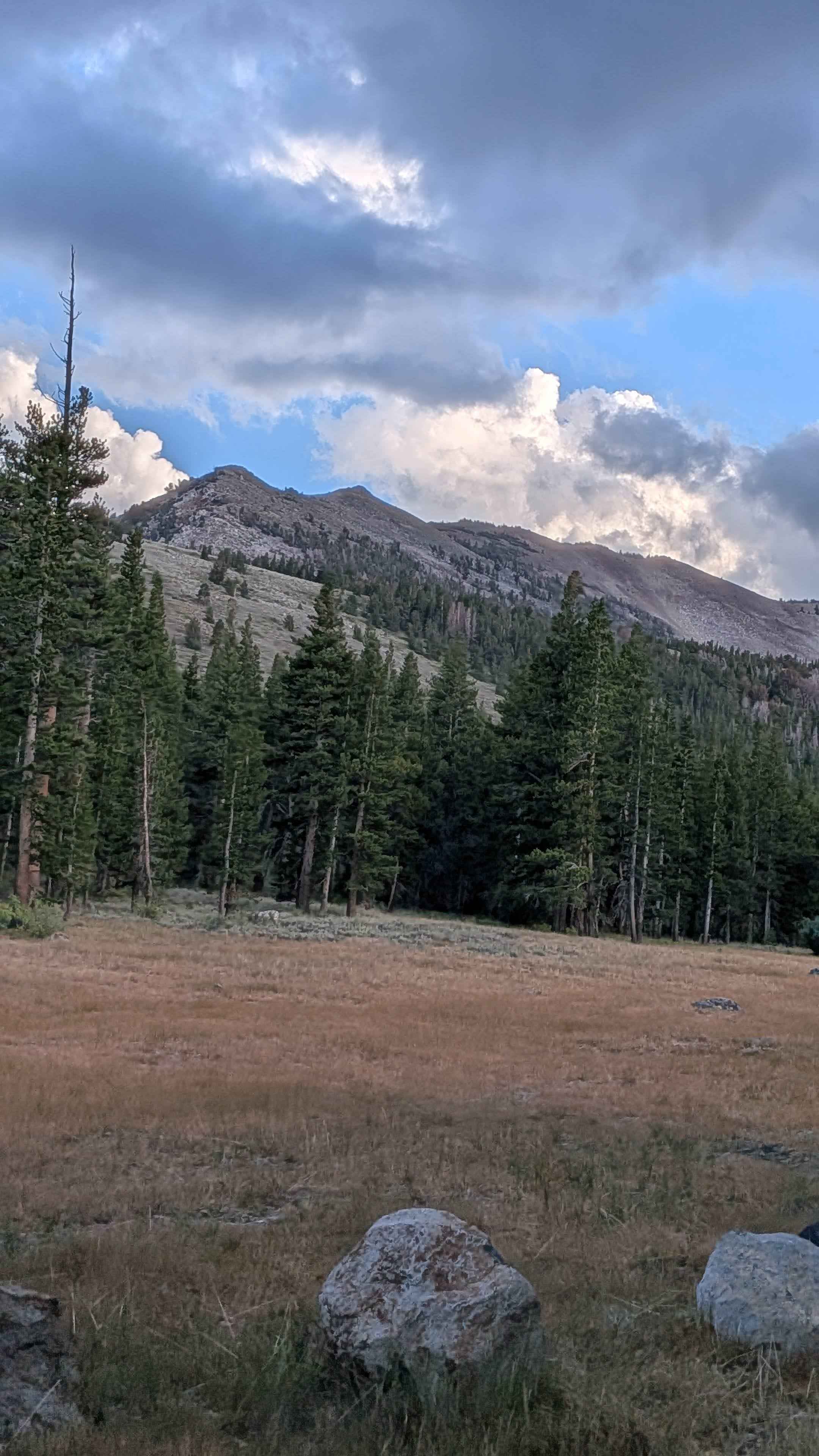 Castle Rock Road - FS 32139