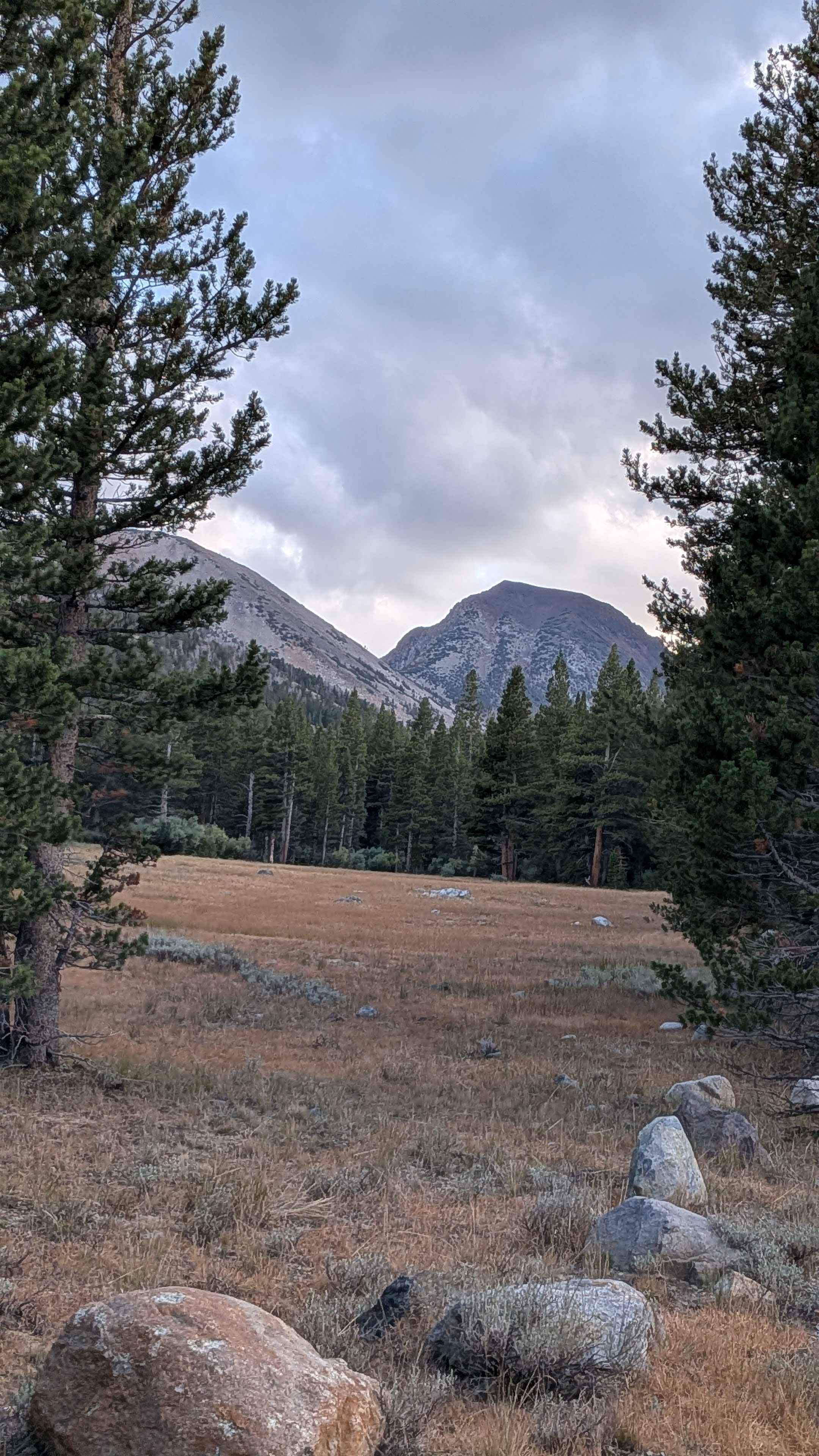 Castle Rock Road - FS 32139