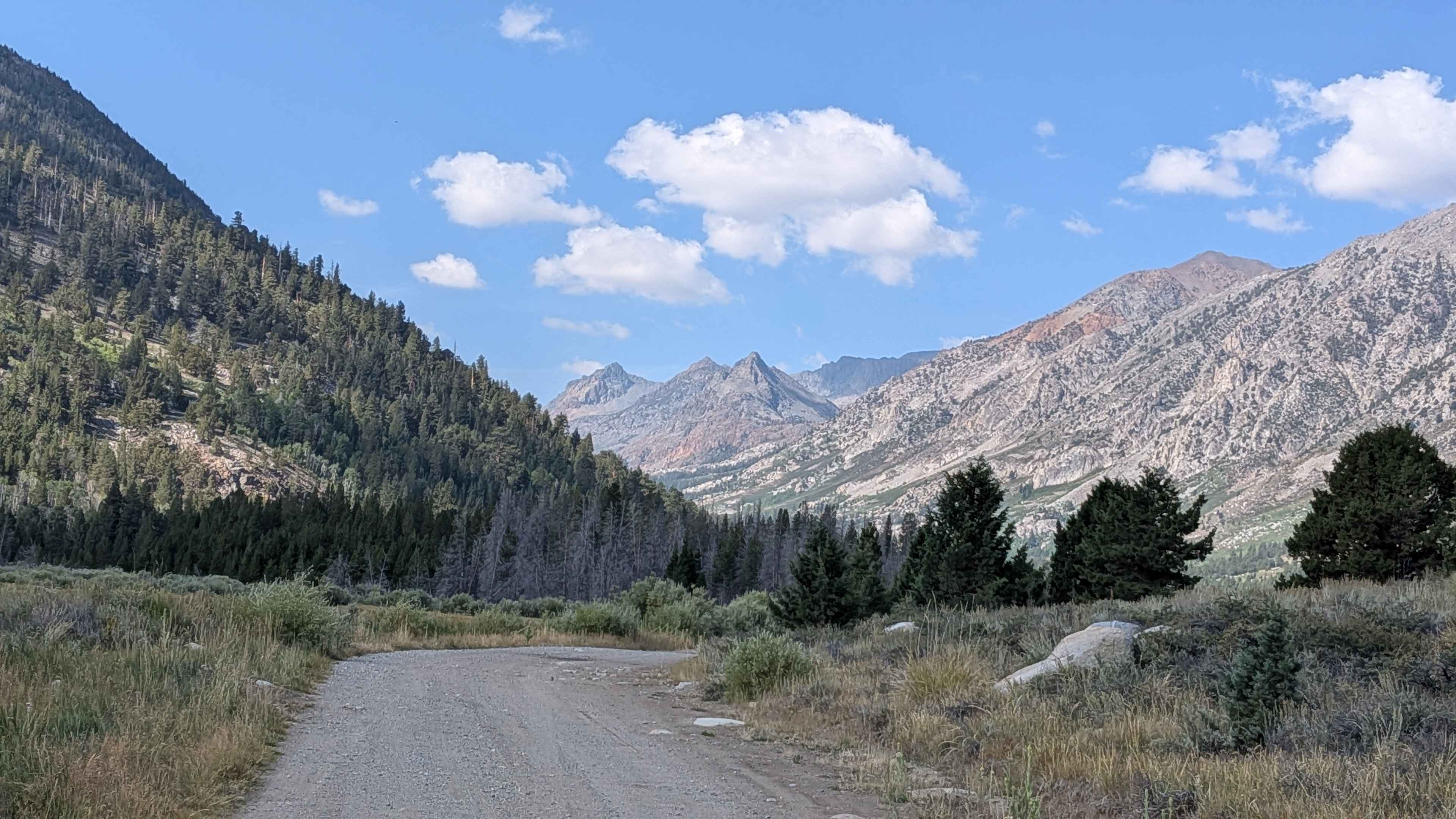 Green Creek Road - FS 32146