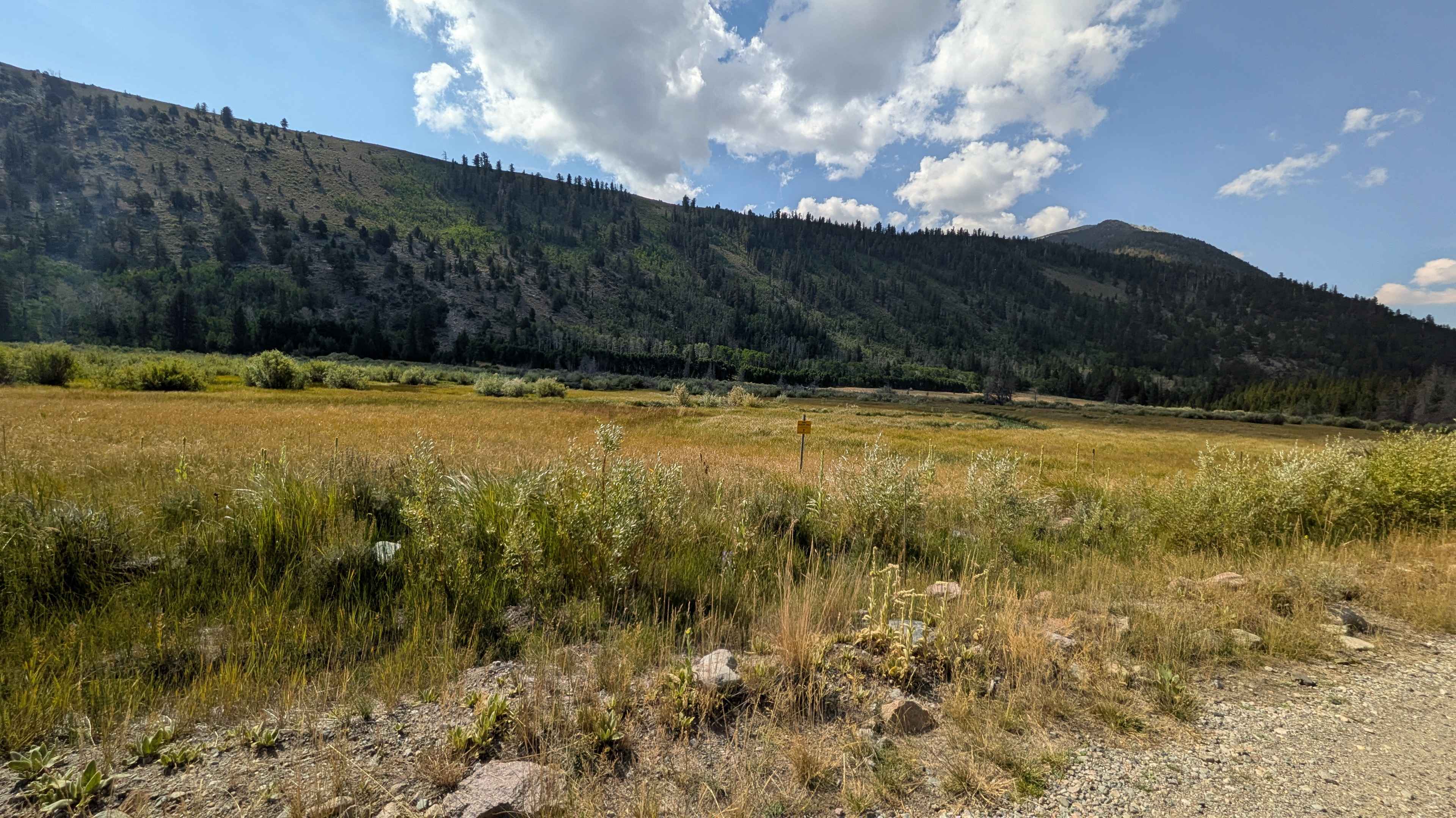 Green Creek Road - FS 32146