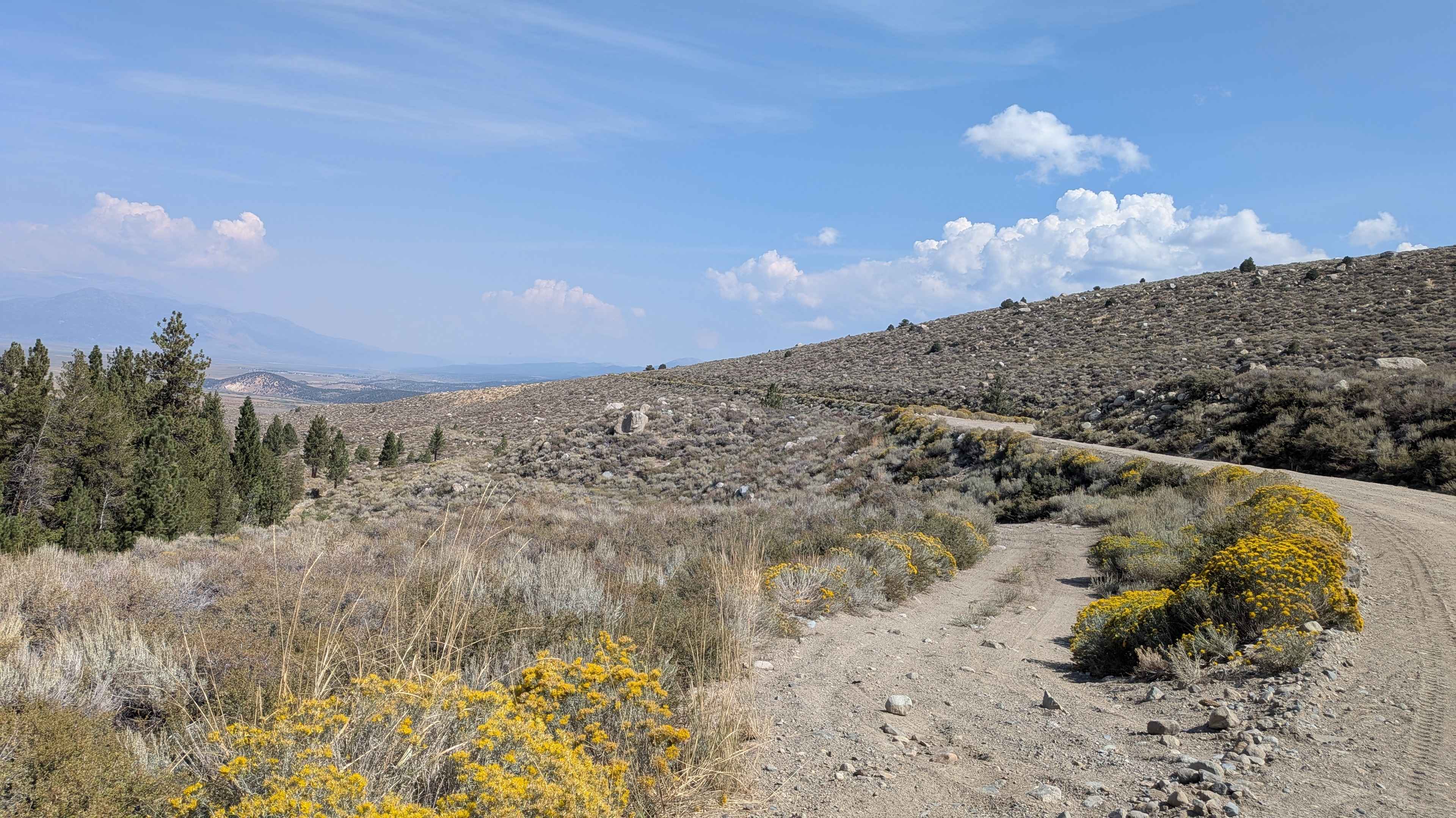 Old Green Creek Road