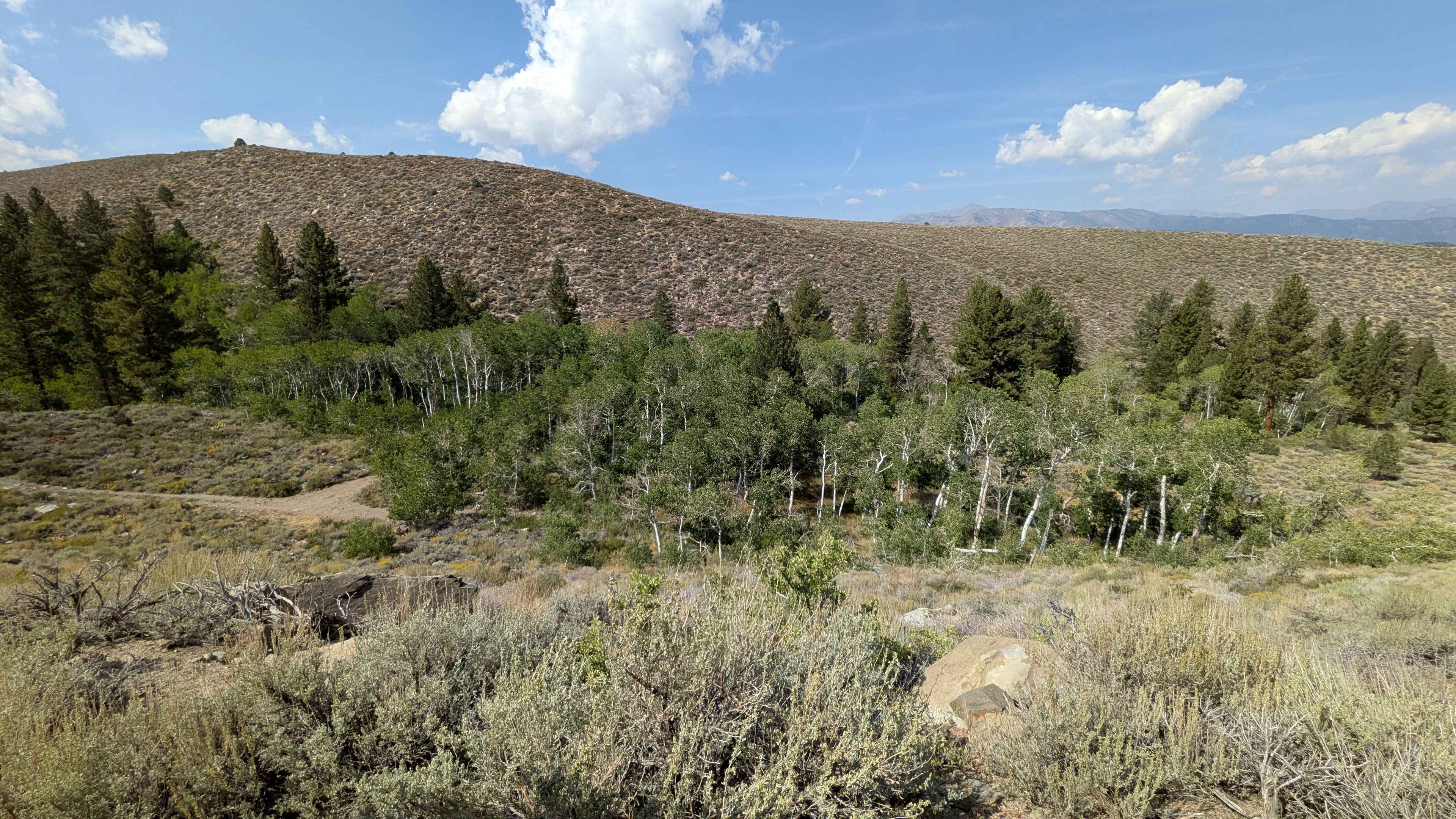 Old Green Creek Road