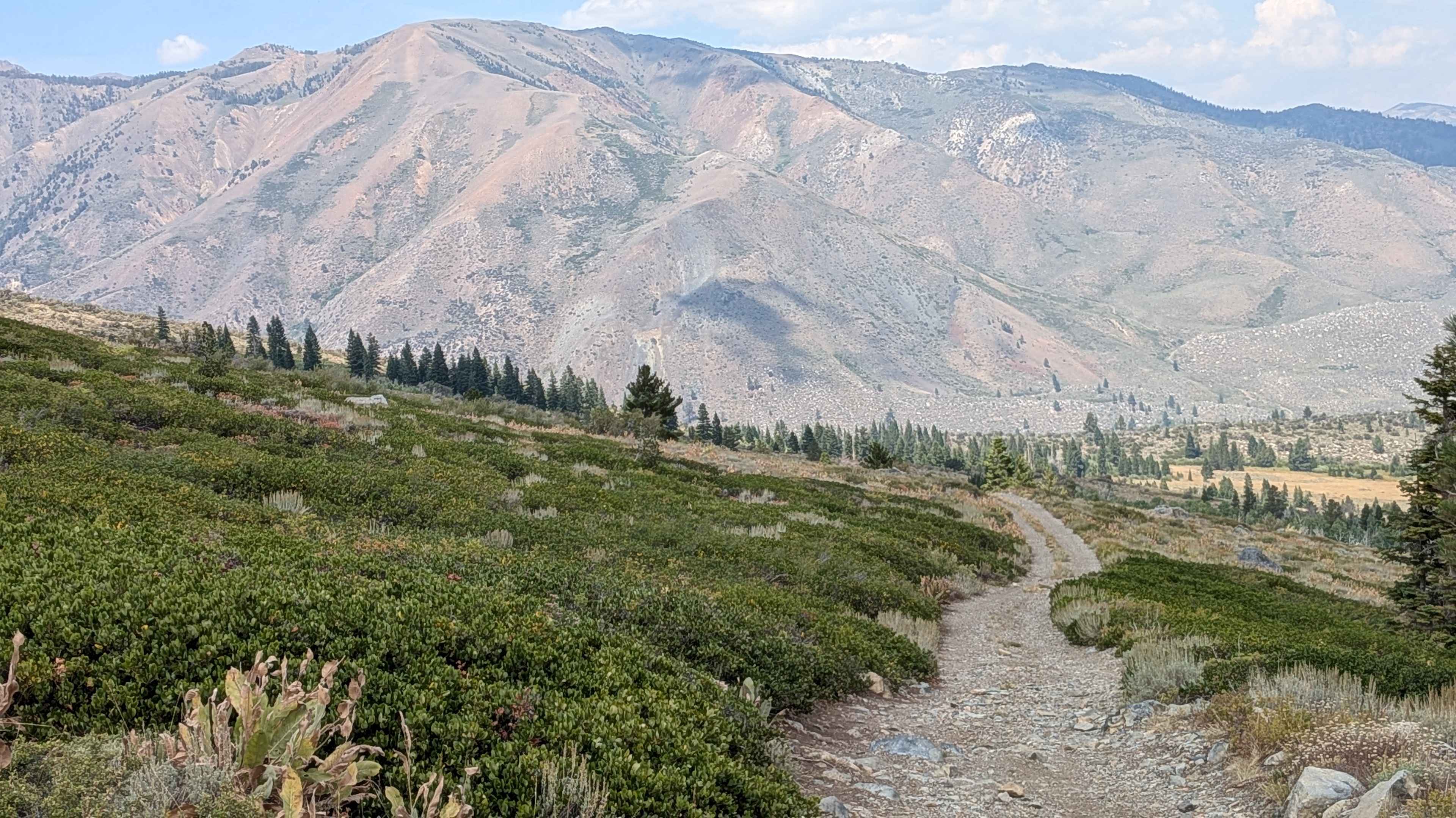 Upper Summer Meadows Road - FS 32144