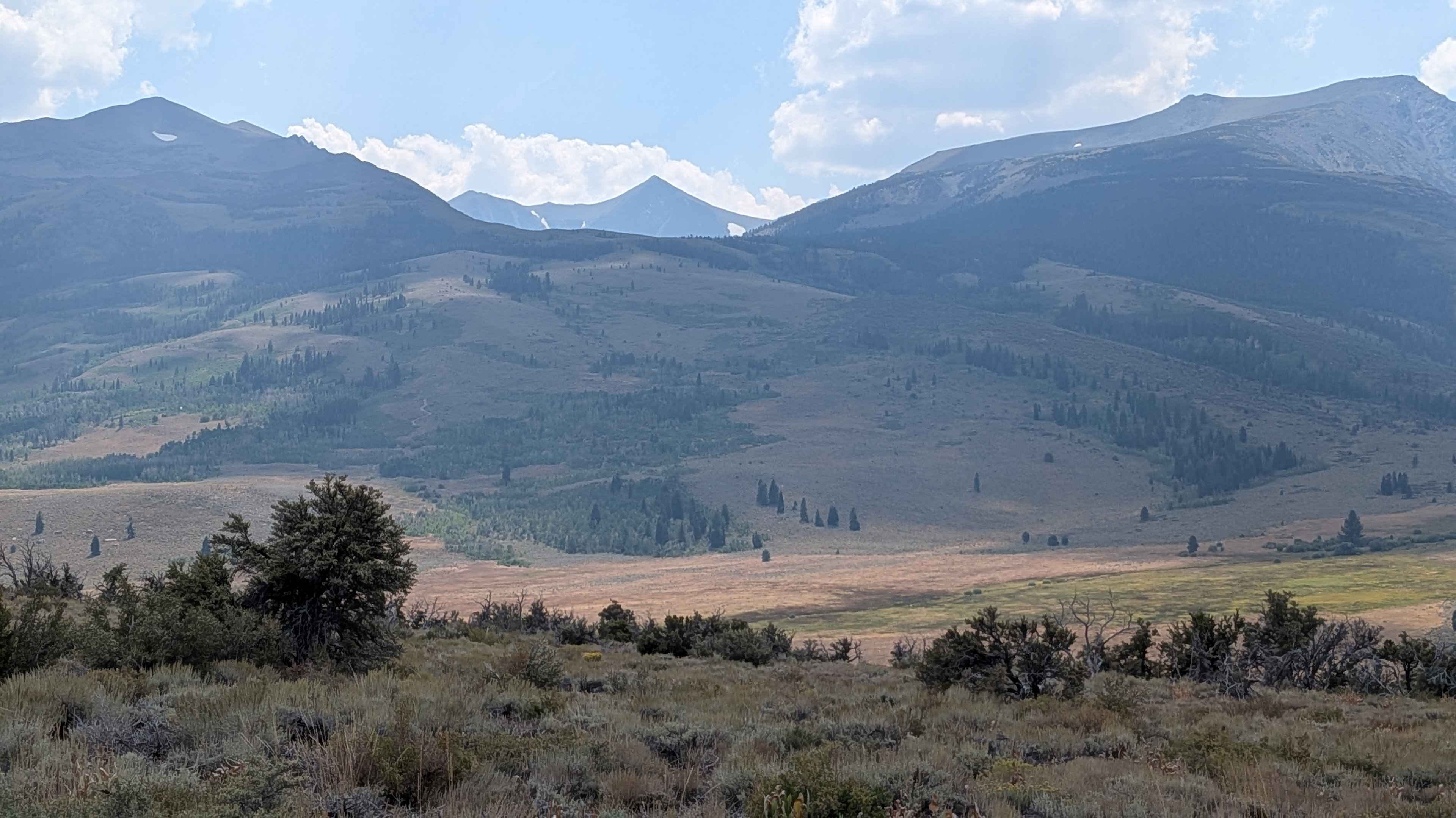 Meadows Way - FS 32144A