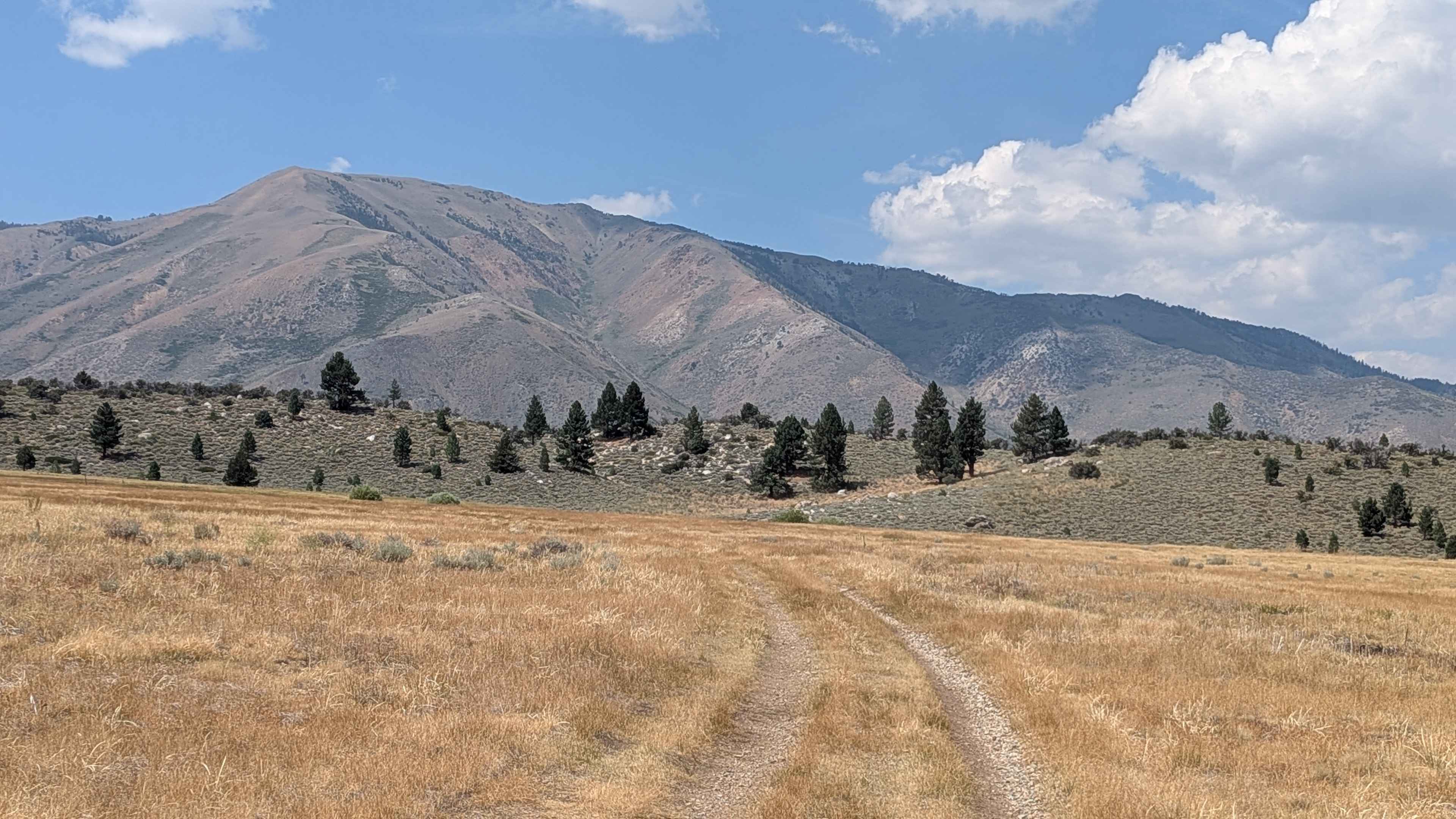 Meadows Way - FS 32144A