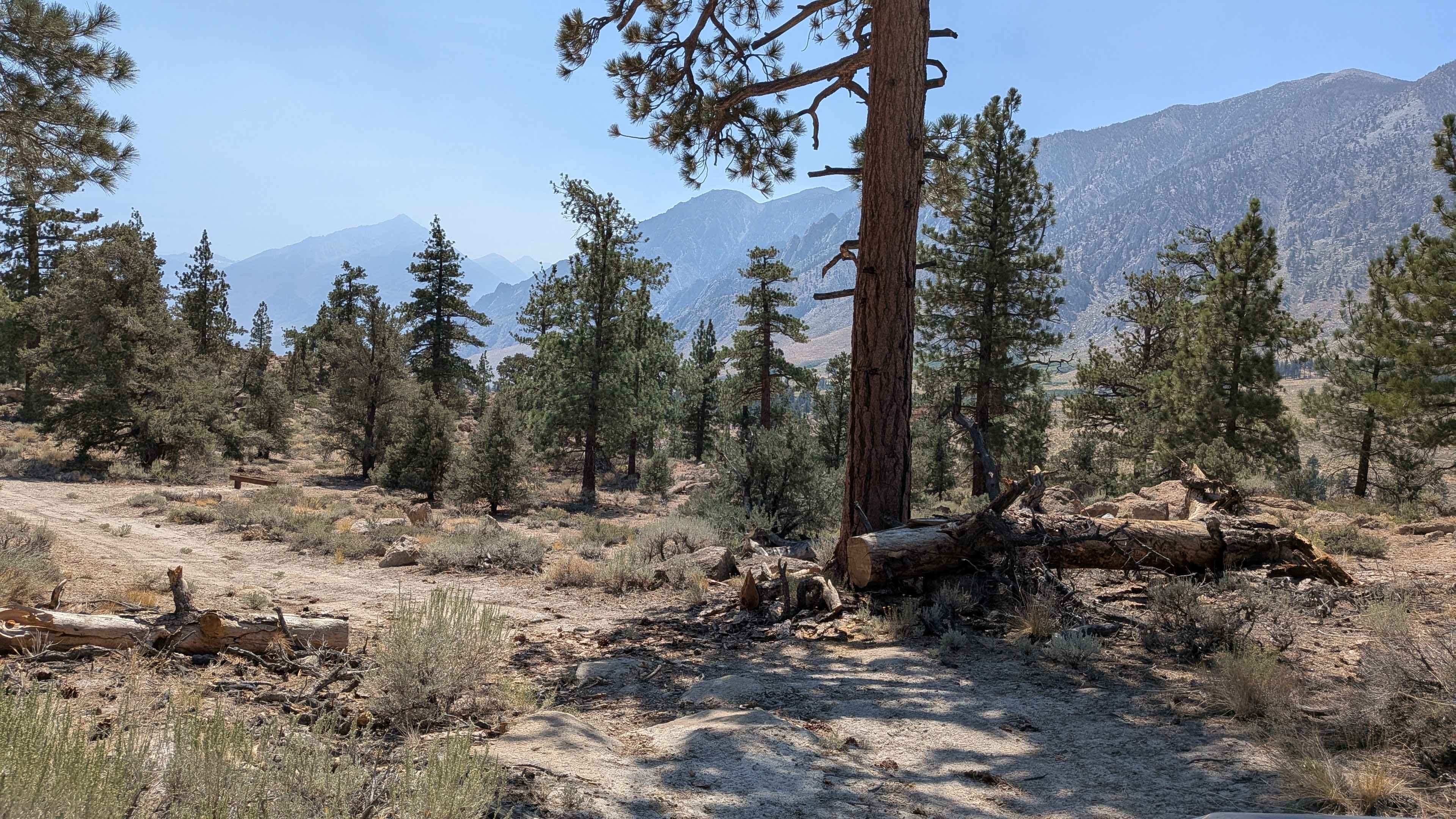 Forest Service Road 5S105