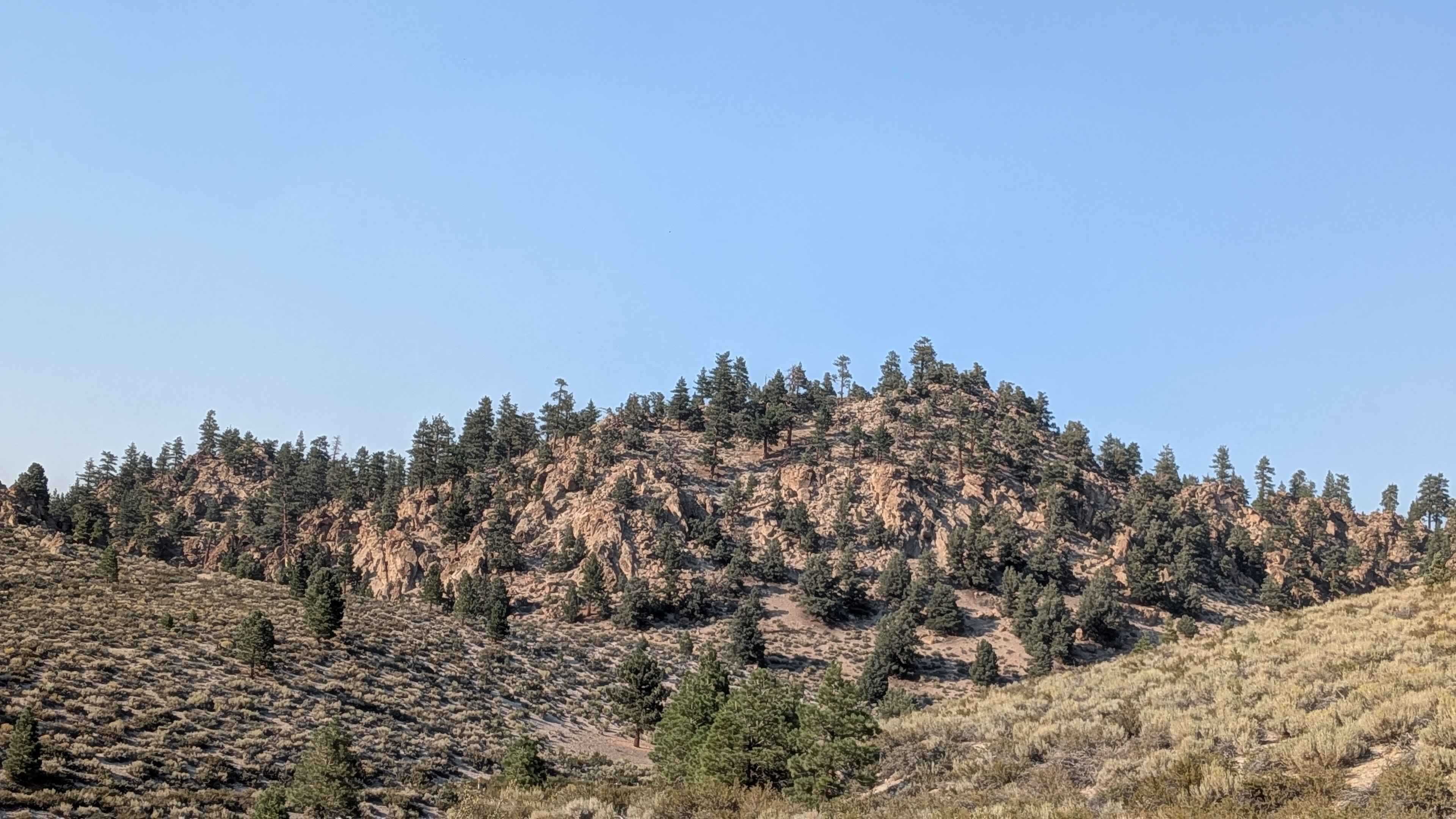 Forest Service Road 4S121